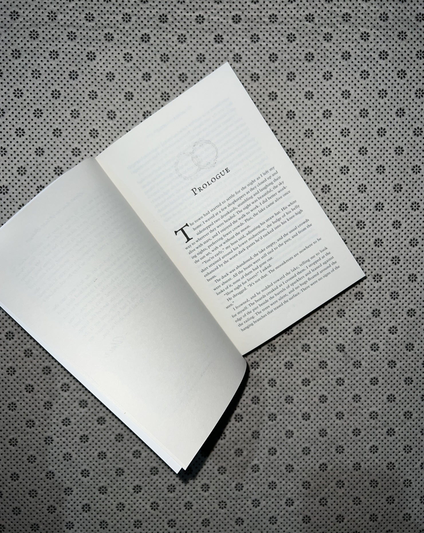 THE WRATH OF THE FALLEN: Gods And Monsters (Book 4) By Amber V. Nicole