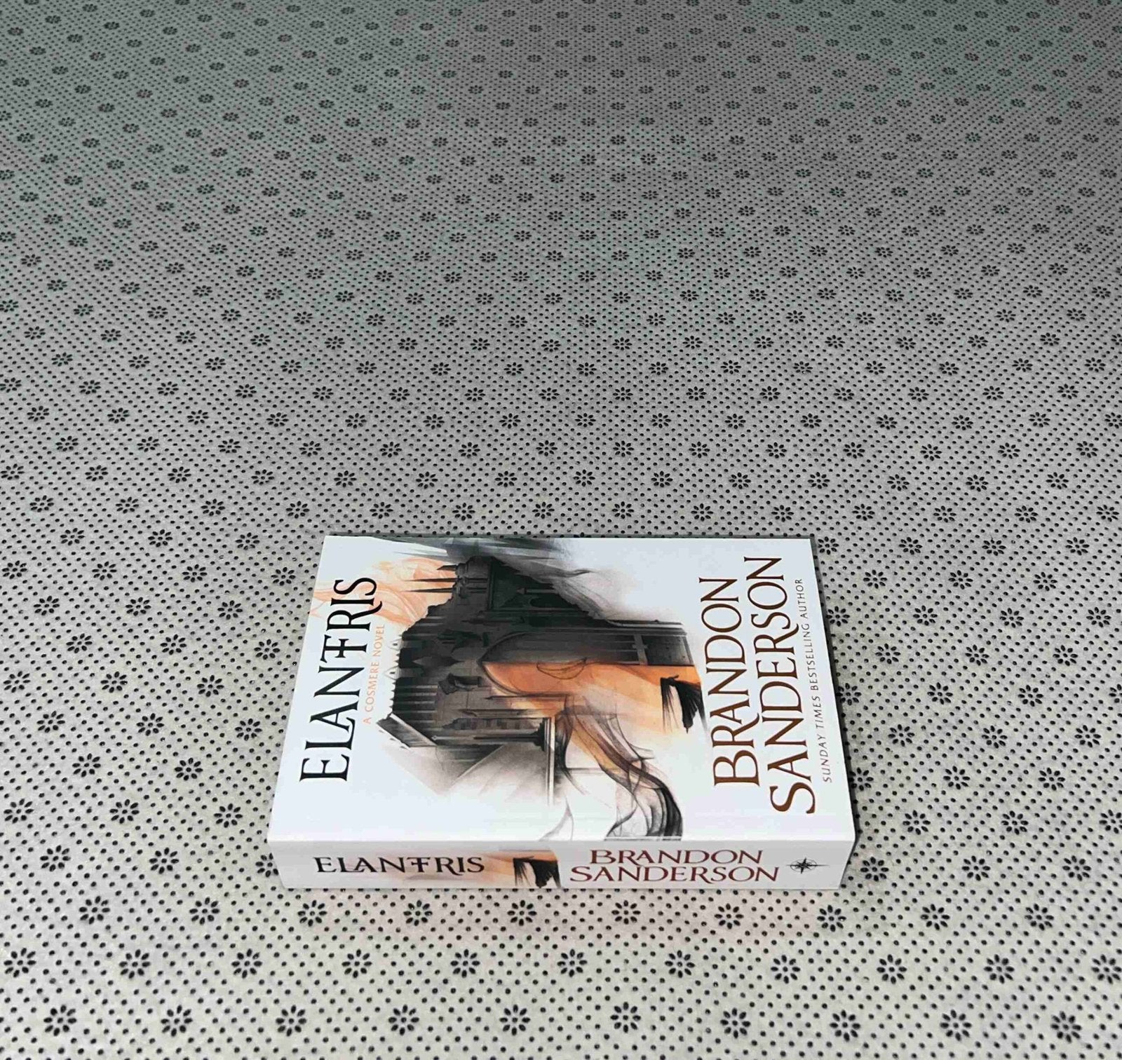 elantris elantris series book 1 by brandon sanderson