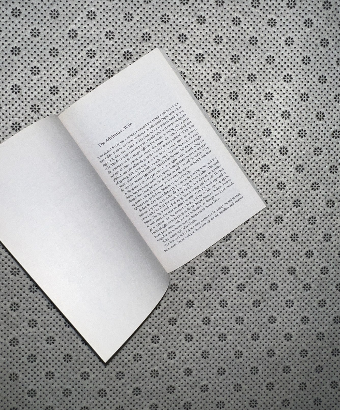 EXILE AND THE KINGDOM (Modern Classics) by Albert Camus