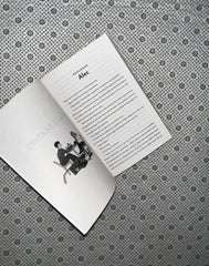 FAKE SKATING by Lynn Painter