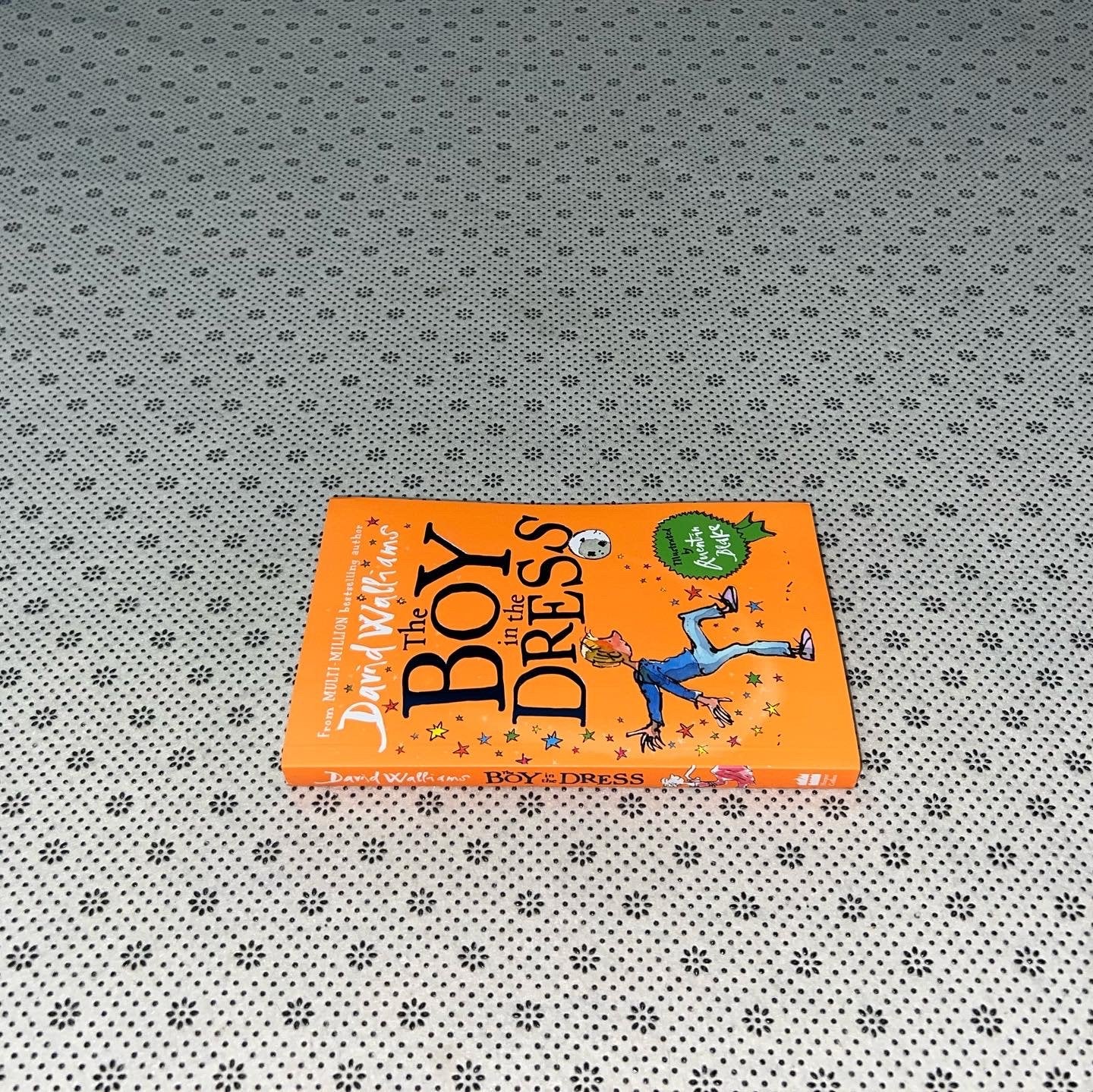 the boy in the dress by david walliams