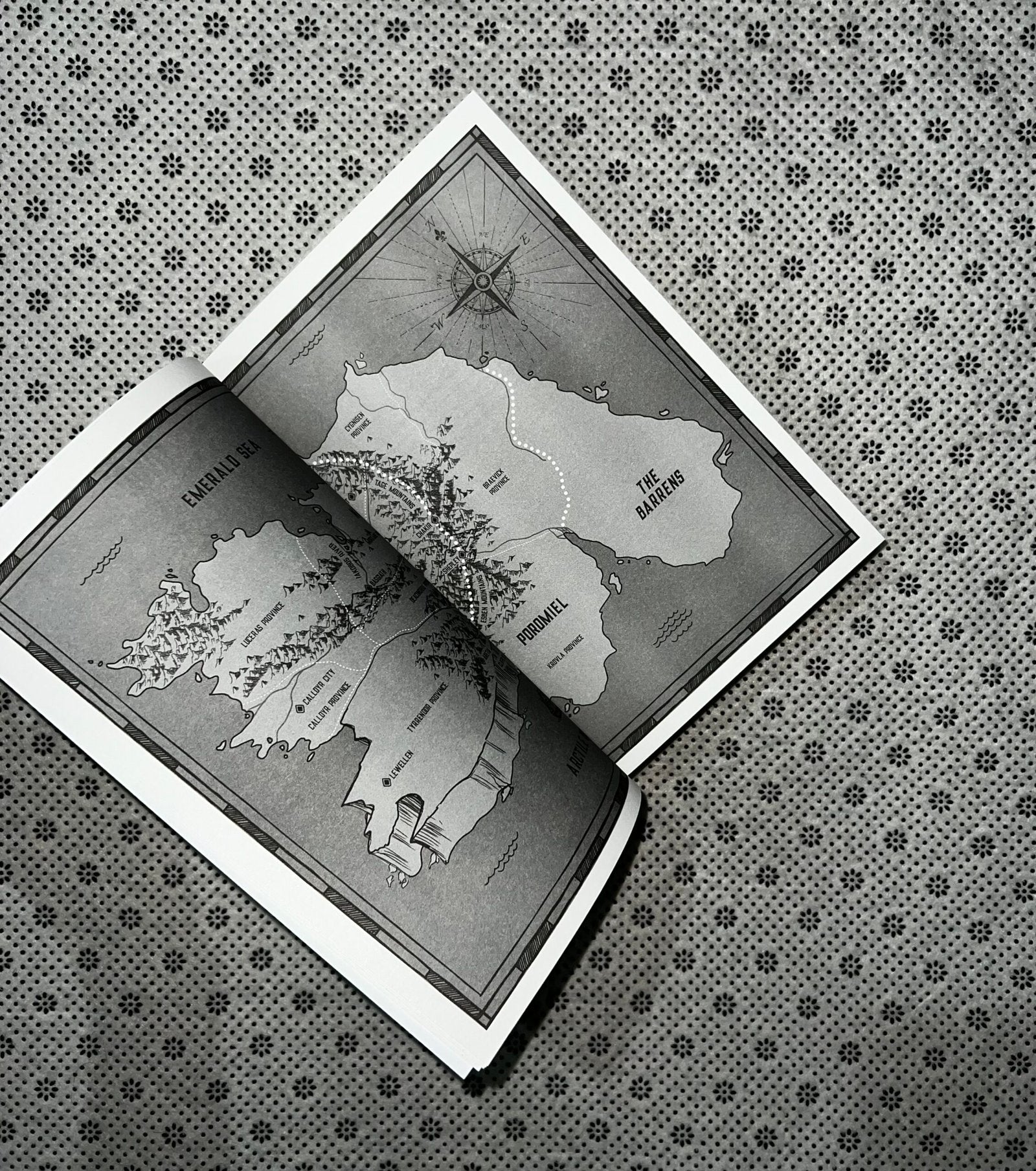 fourth wing the empyrean series book 1 by rebecca yarros