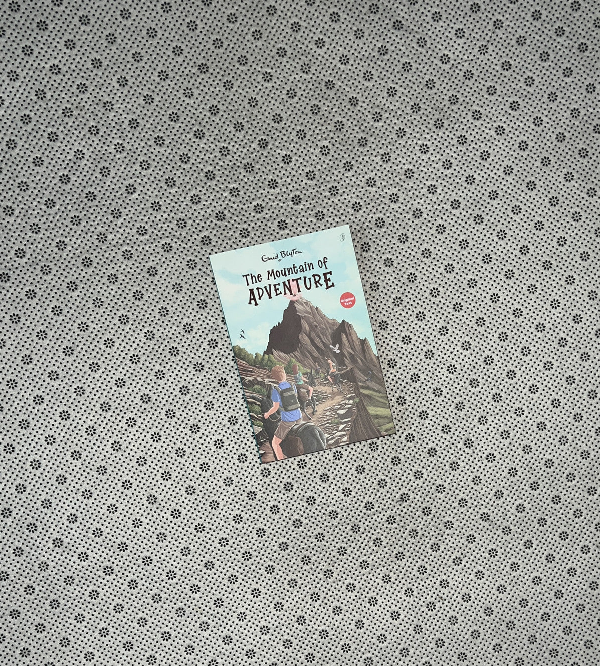 THE MOUNTAIN OF ADVENTURE The Adventure Series (Book 5) by Enid Blyton