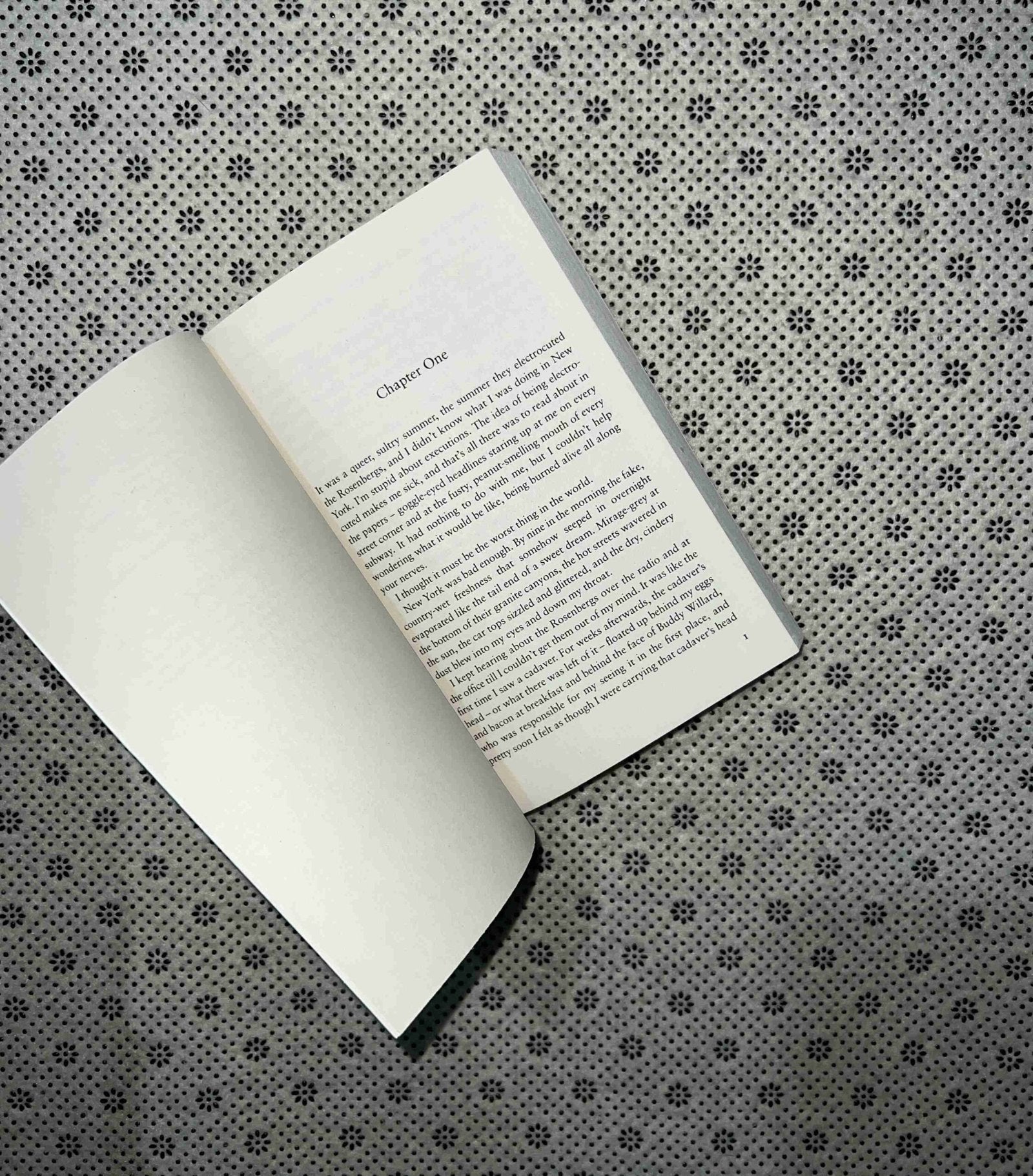 the bell jar by sylvia plath 1