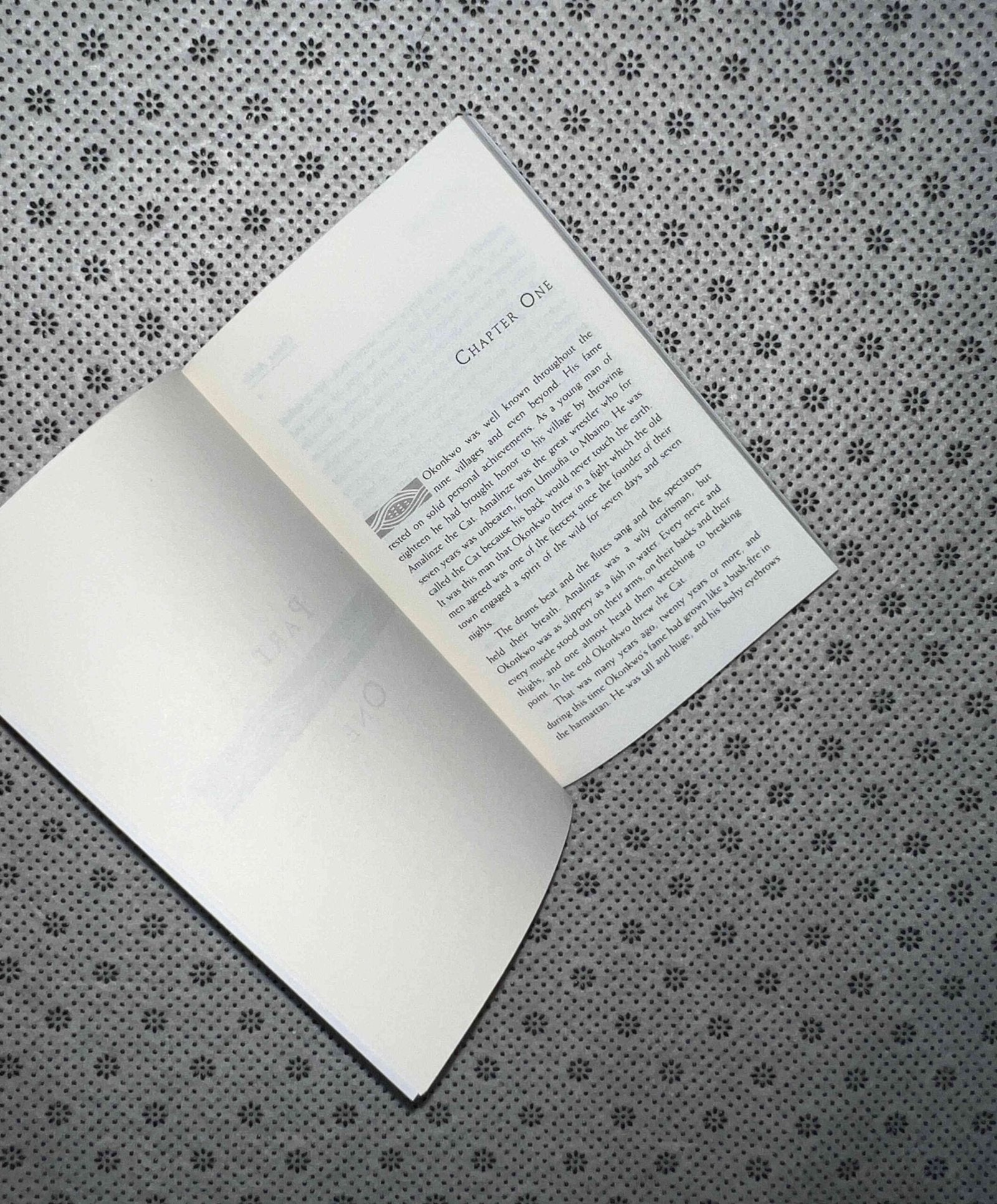 things fall apart by chinua achebe
