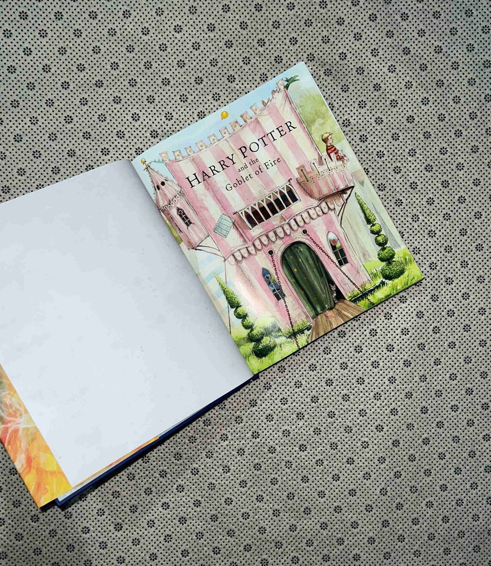 harry potter and the goblet of fire book 4 jim kay illustrated edition by j k rowling