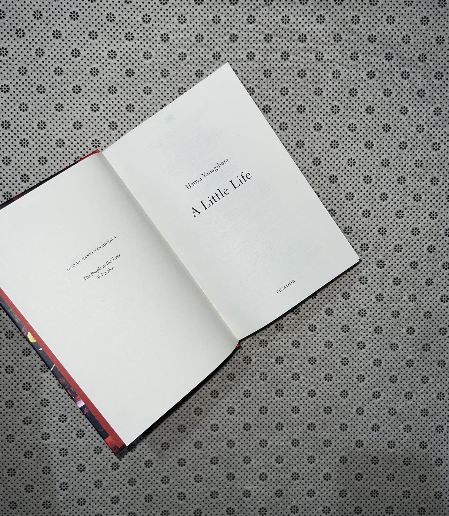 A LITTLE LIFE (The 10th Anniversary Collector's Edition) by Hanya Yanagihara