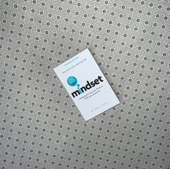 mindset changing the way you think to fulfil your potential updated edition by carol s dweck
