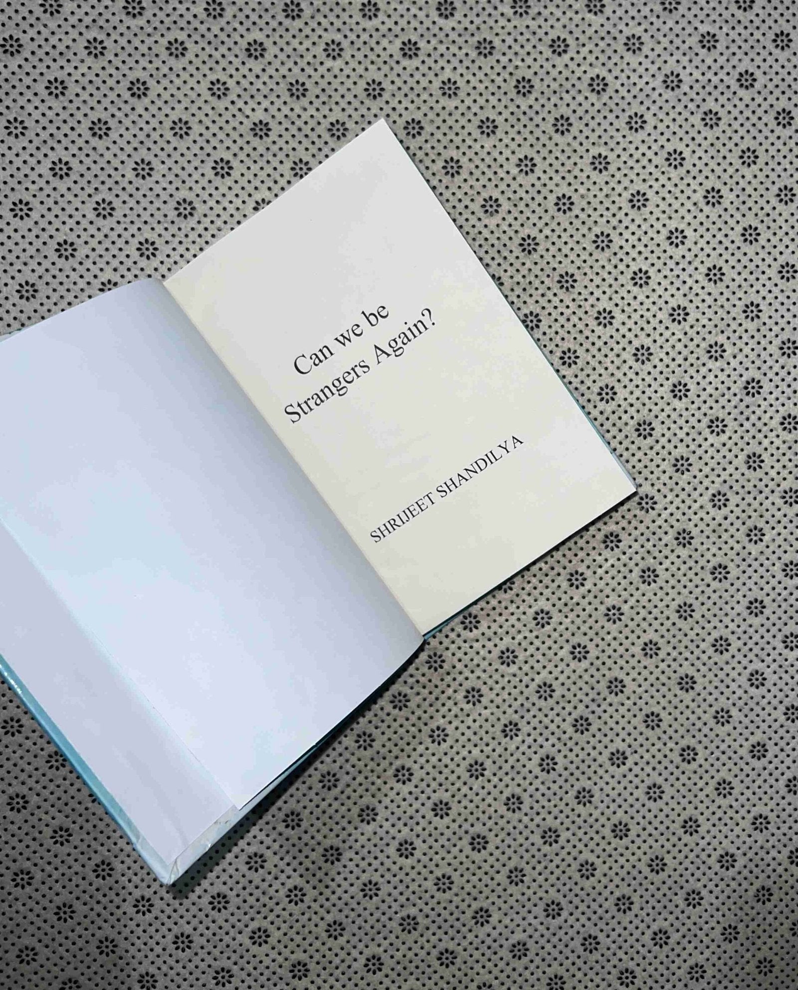 can we be strangers again by shrijeet shandilya