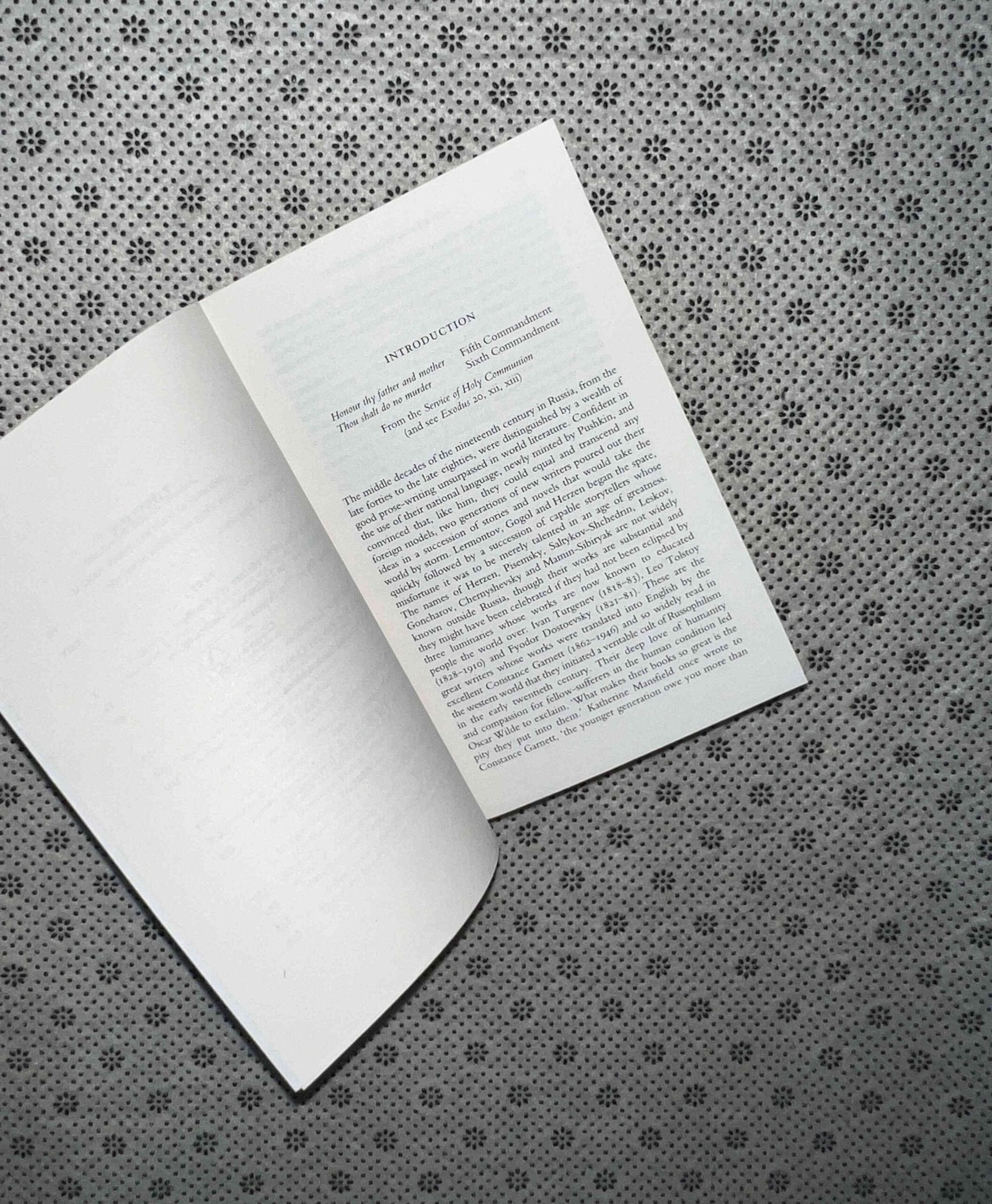 the brothers karamazov wordsworth classics by fyodor dostoyevsky