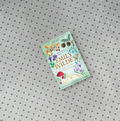 emily wildes map of the otherlands emily wilde series book 2 by heather fawcett