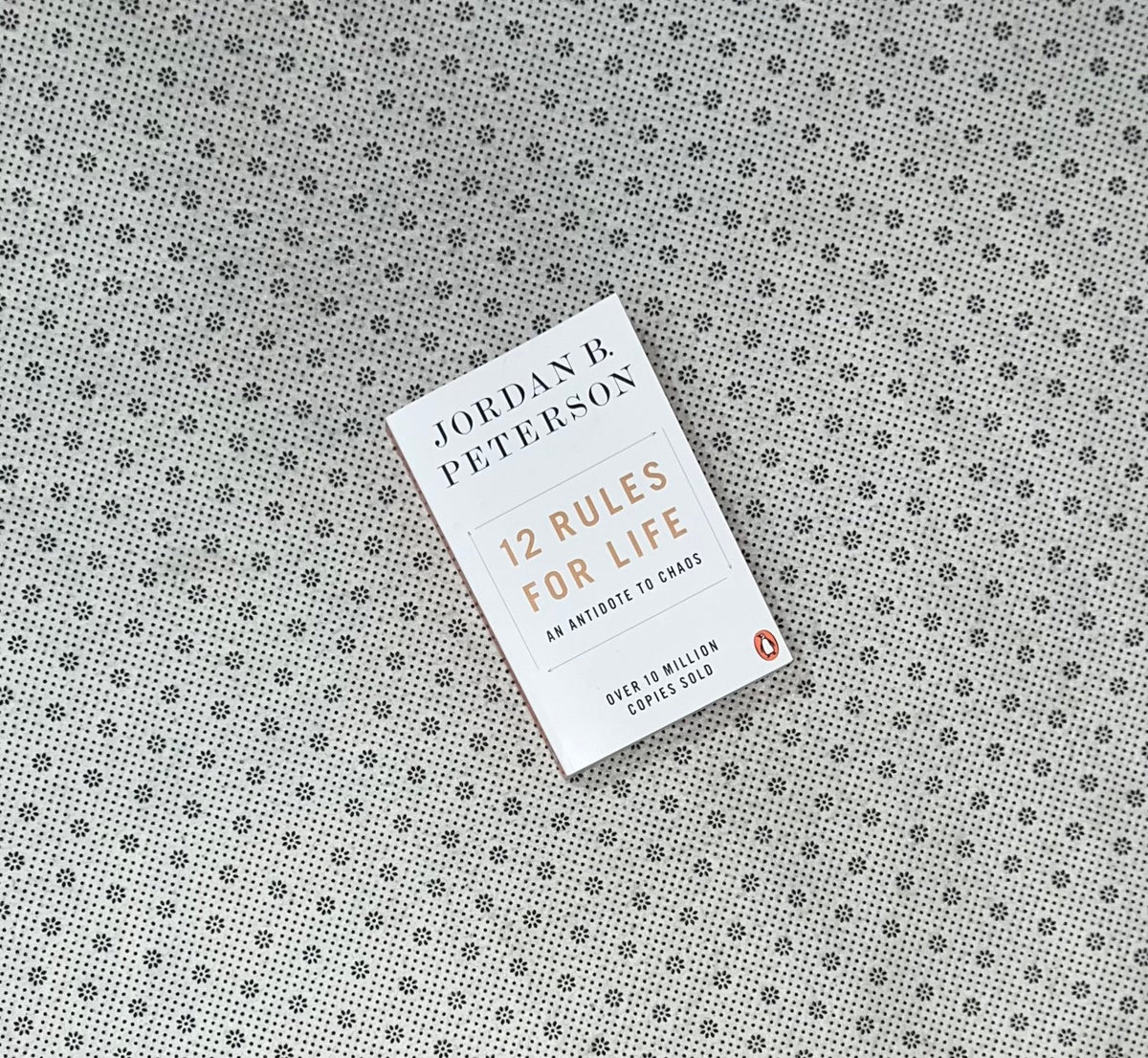 12 rules for life by jordan b peterson