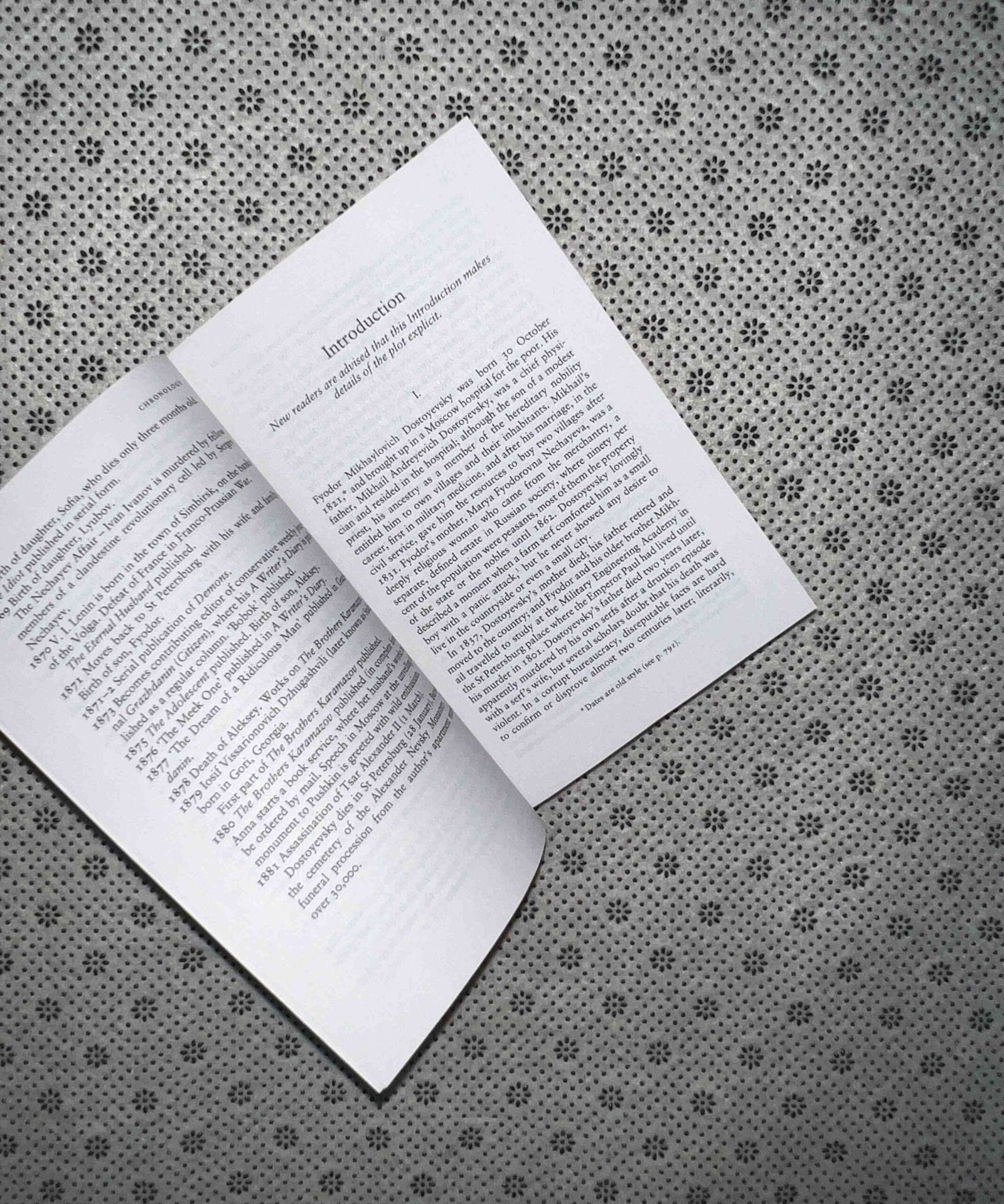 demons penguin classics by fyodor dostoyevsky