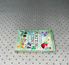 emily wildes map of the otherlands emily wilde series book 2 by heather fawcett