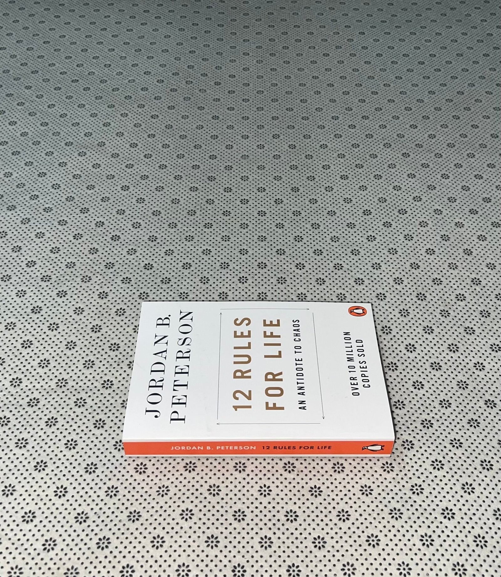 12 rules for life by jordan b peterson