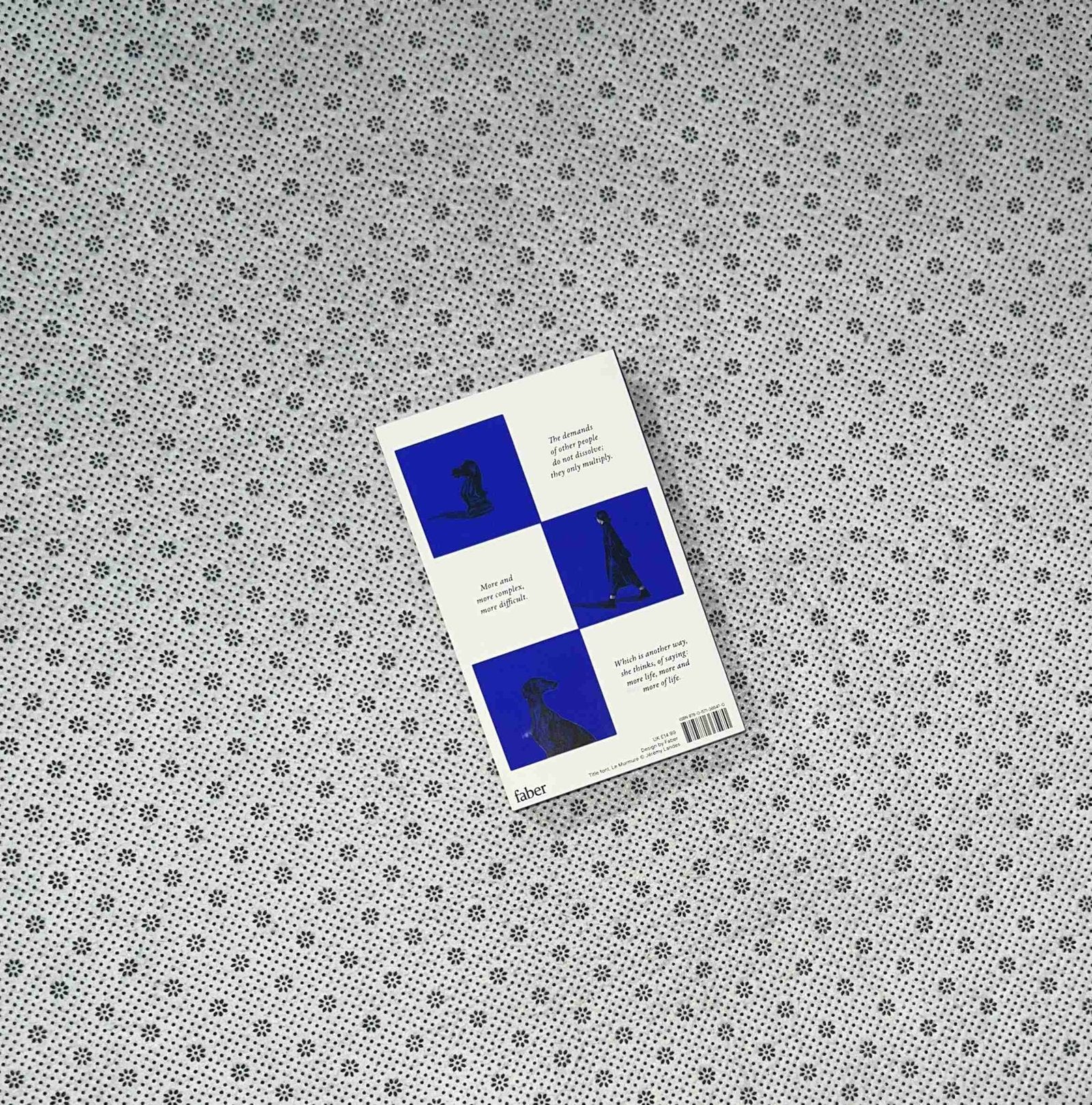 intermezzo by sally rooney