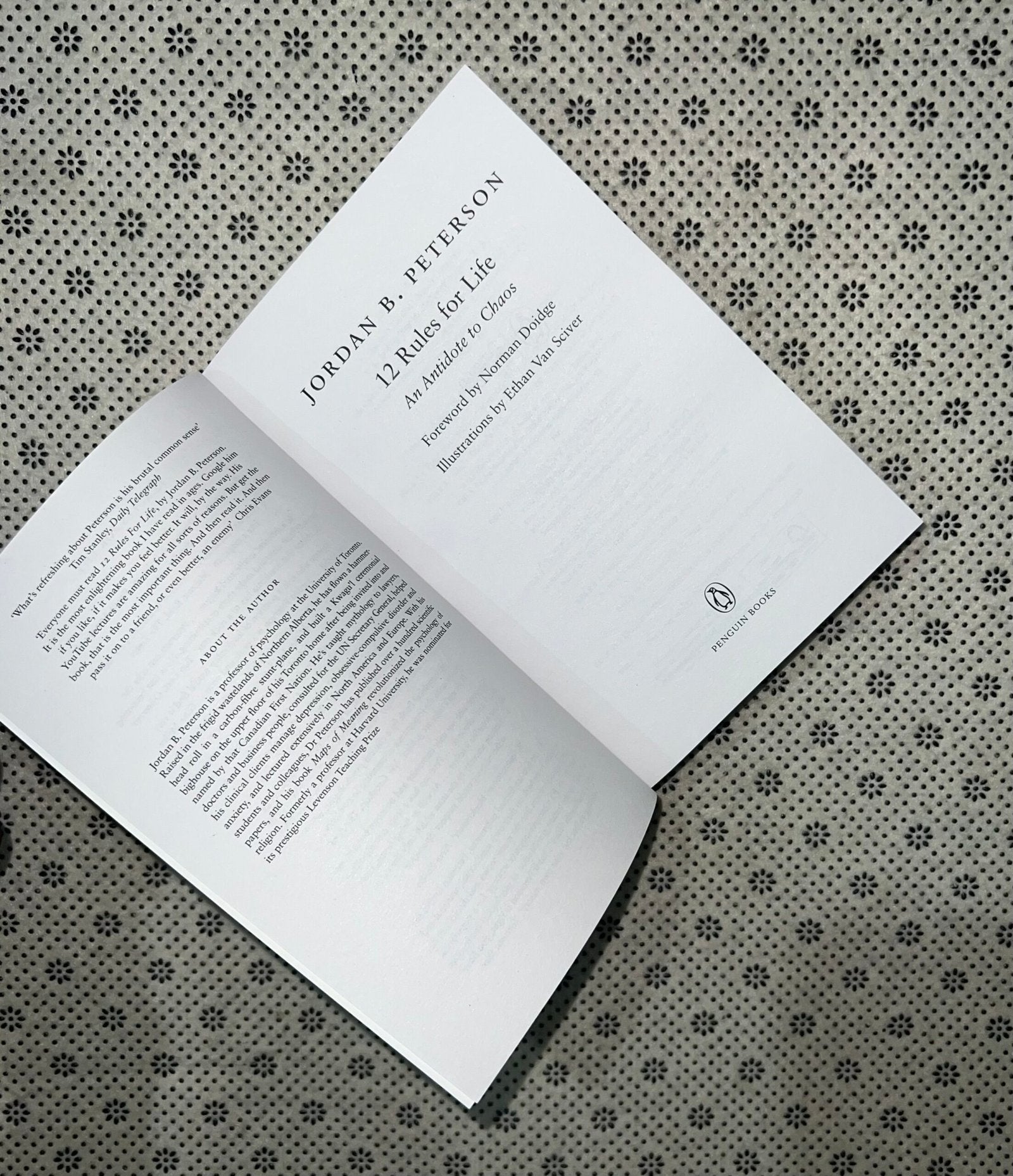 12 rules for life by jordan b peterson