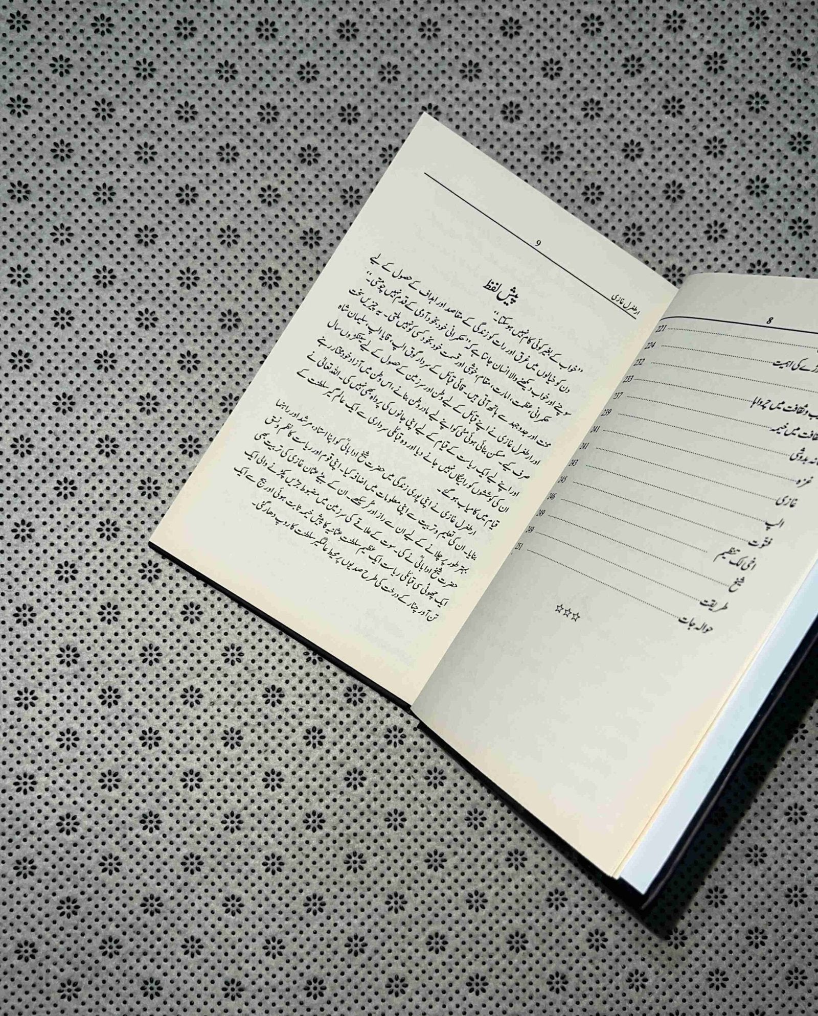 ertugrul ghazi by talib areshaheen