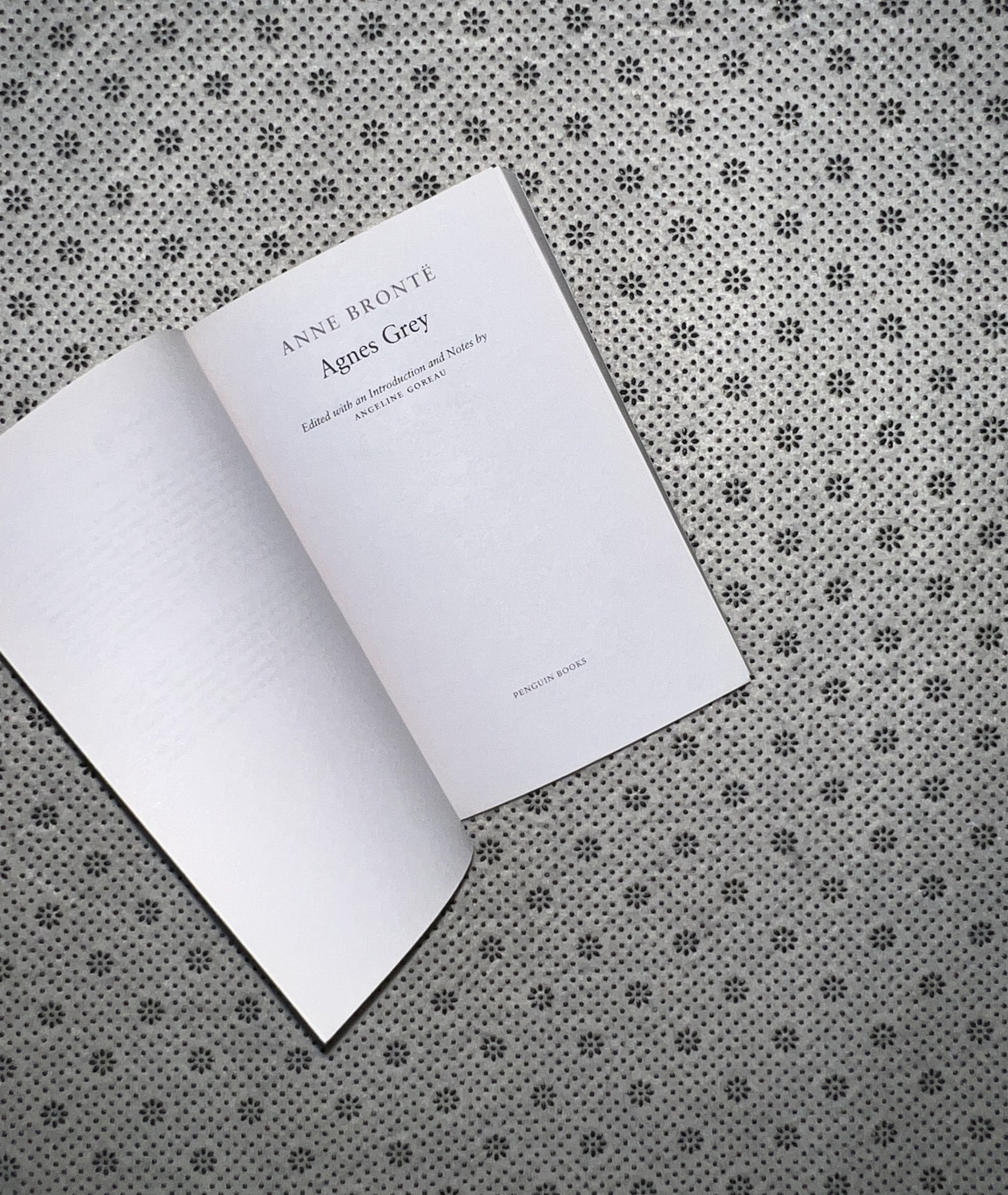 AGNES GREY by Anne Bronte