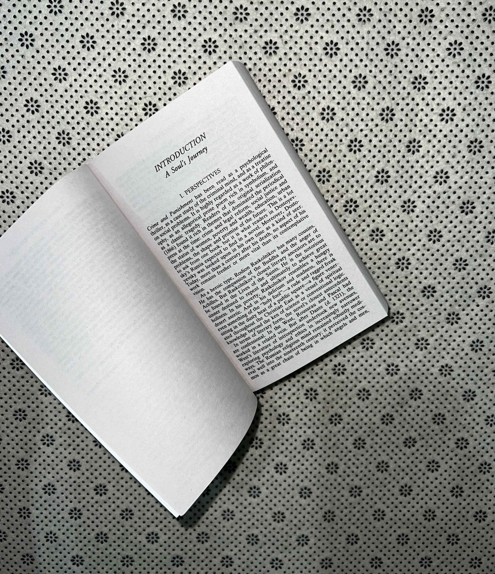 crime and punishment by fyodor dostoyevsky 1