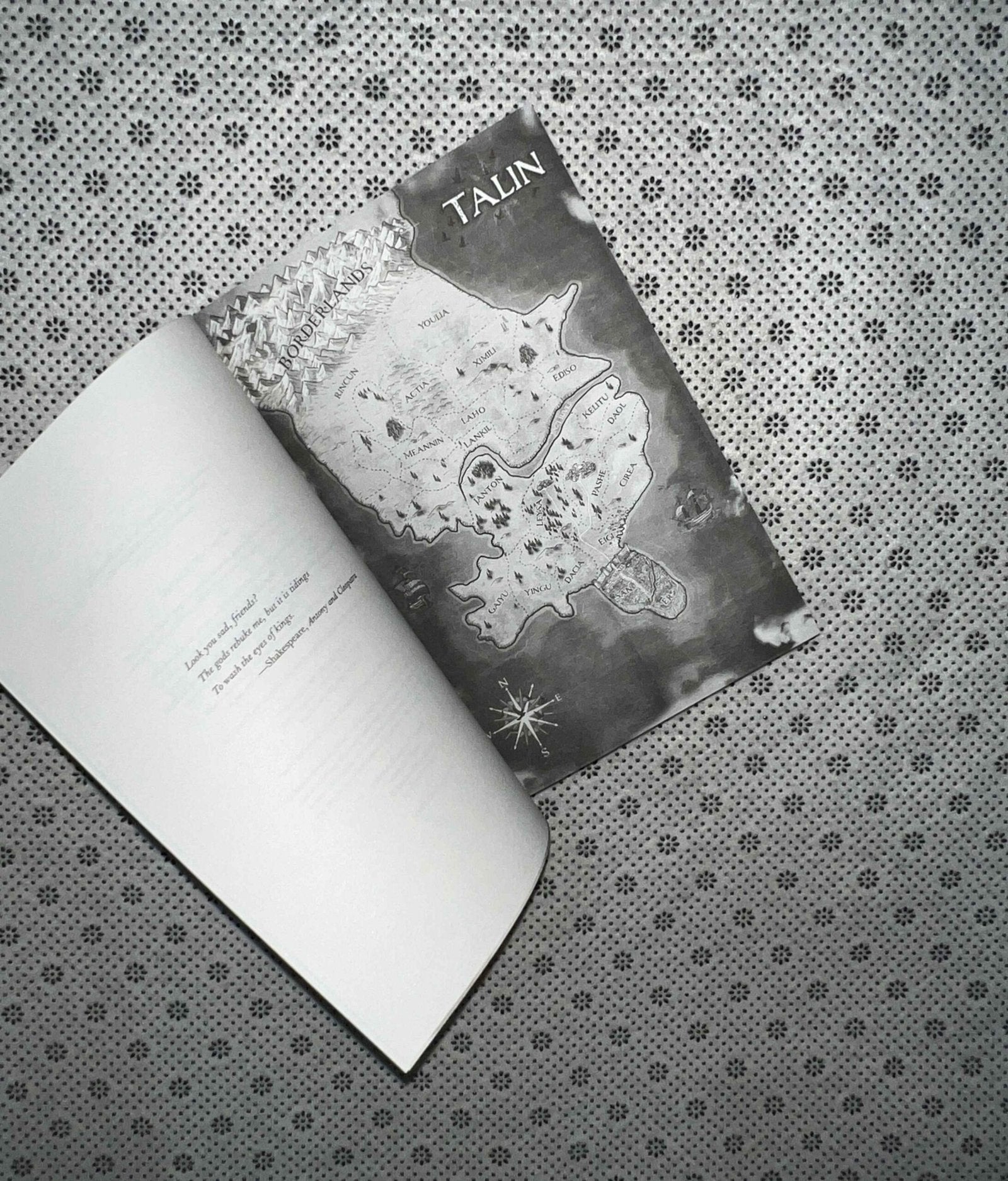 vilest things flesh and false gods series book 2 by chloe gong