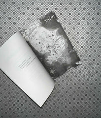 vilest things flesh and false gods series book 2 by chloe gong