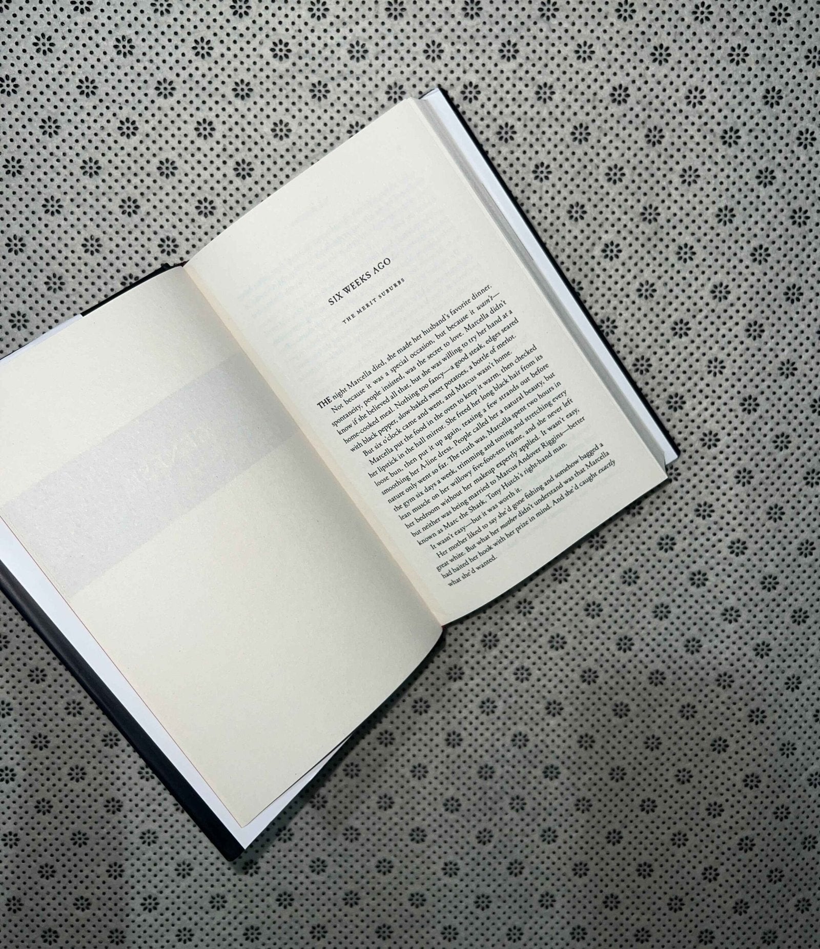 vengeful the villains series book 2 by v e schwab 1