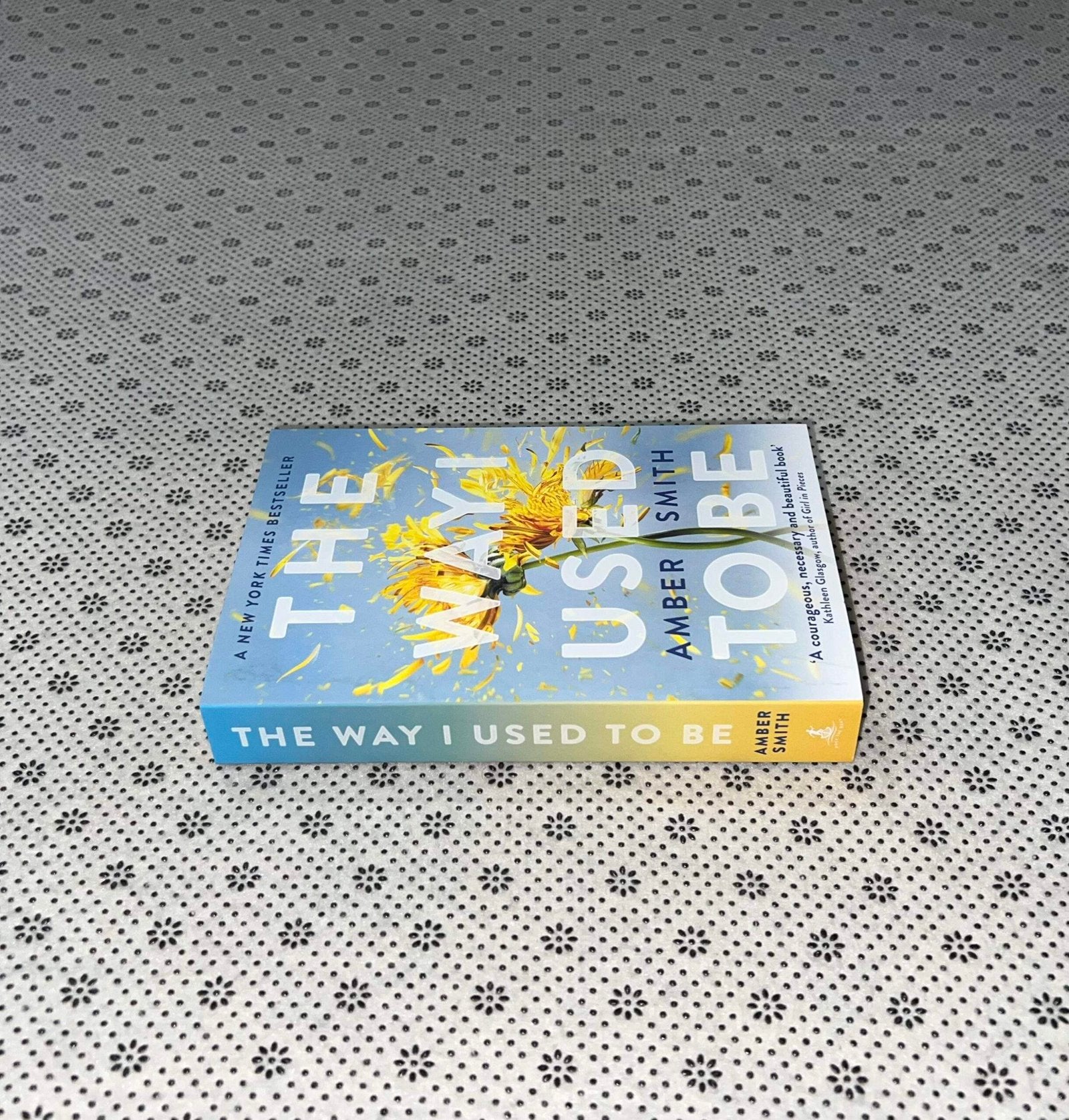 the way i used to be by amber smith