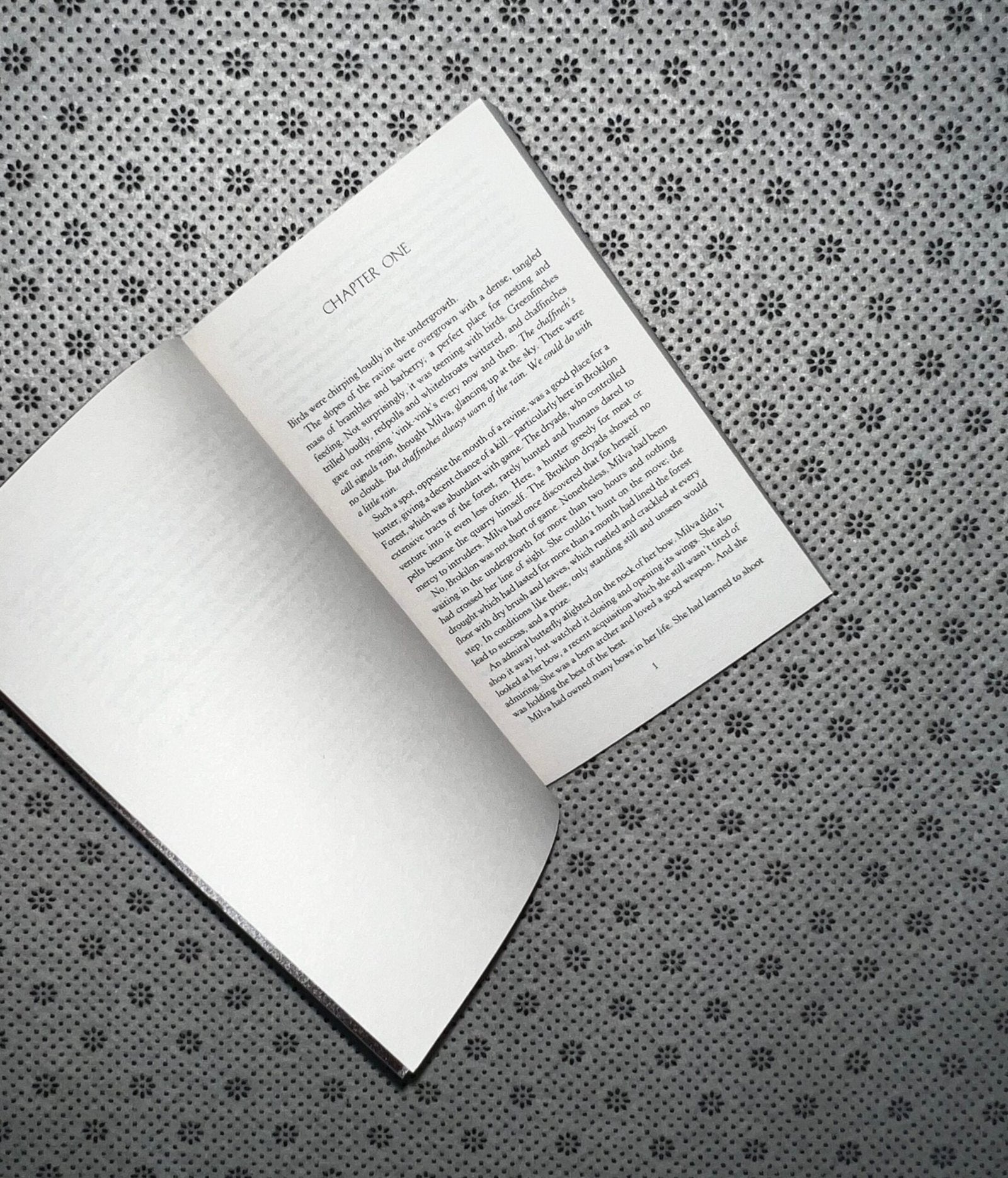 baptism of fire the witcher series book 3 by andrzej sapkowski