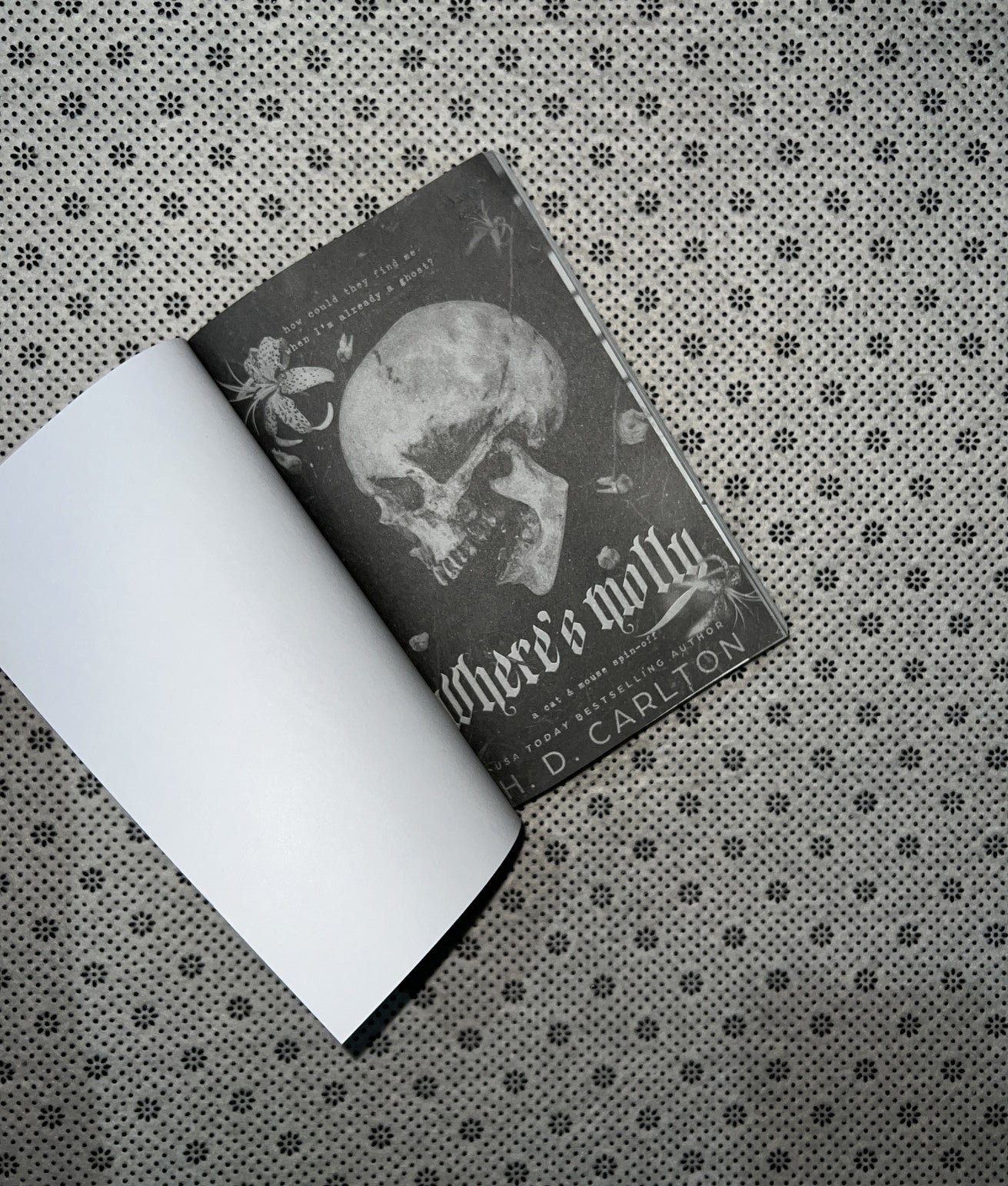 WHERE'S MOLLY by H. D. Carlton 