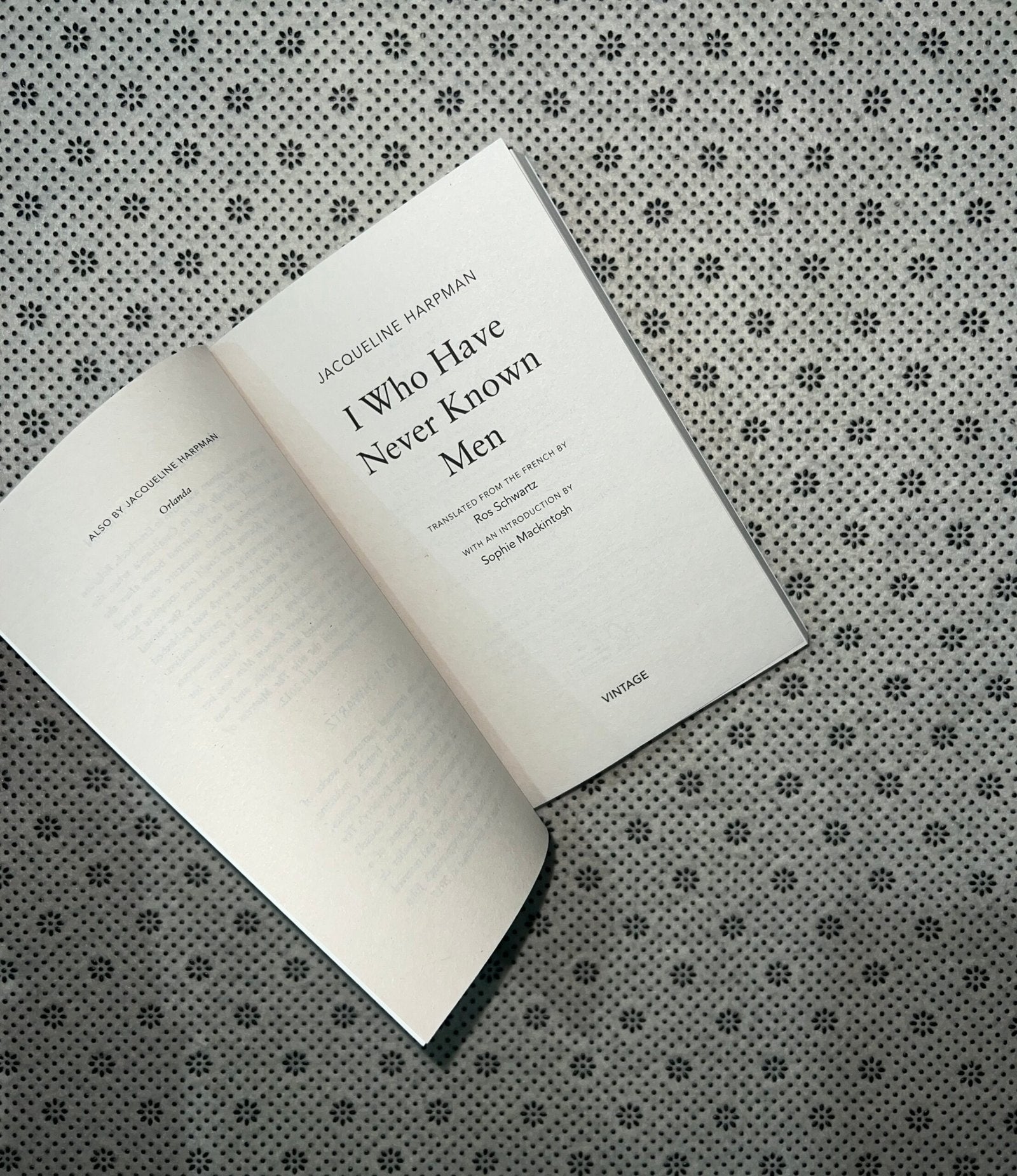 i who have never known men by jacqueline harpman