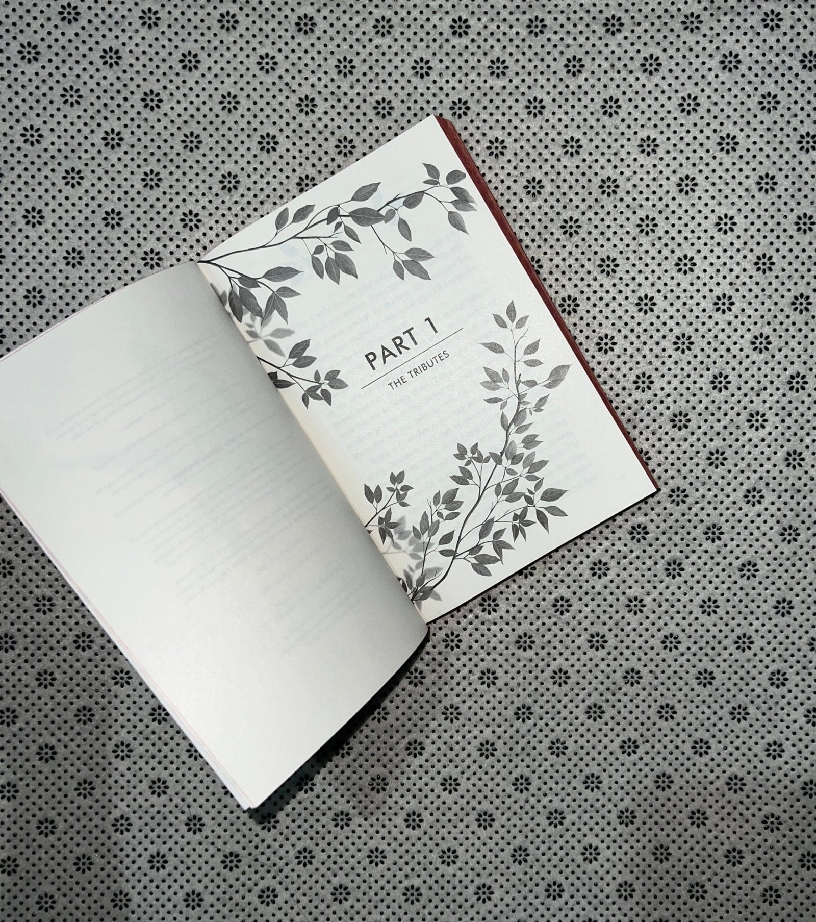 the hunger games the hunger games series book 1 the deluxe edition a stunningly designed with patterned edge by suzanne collins