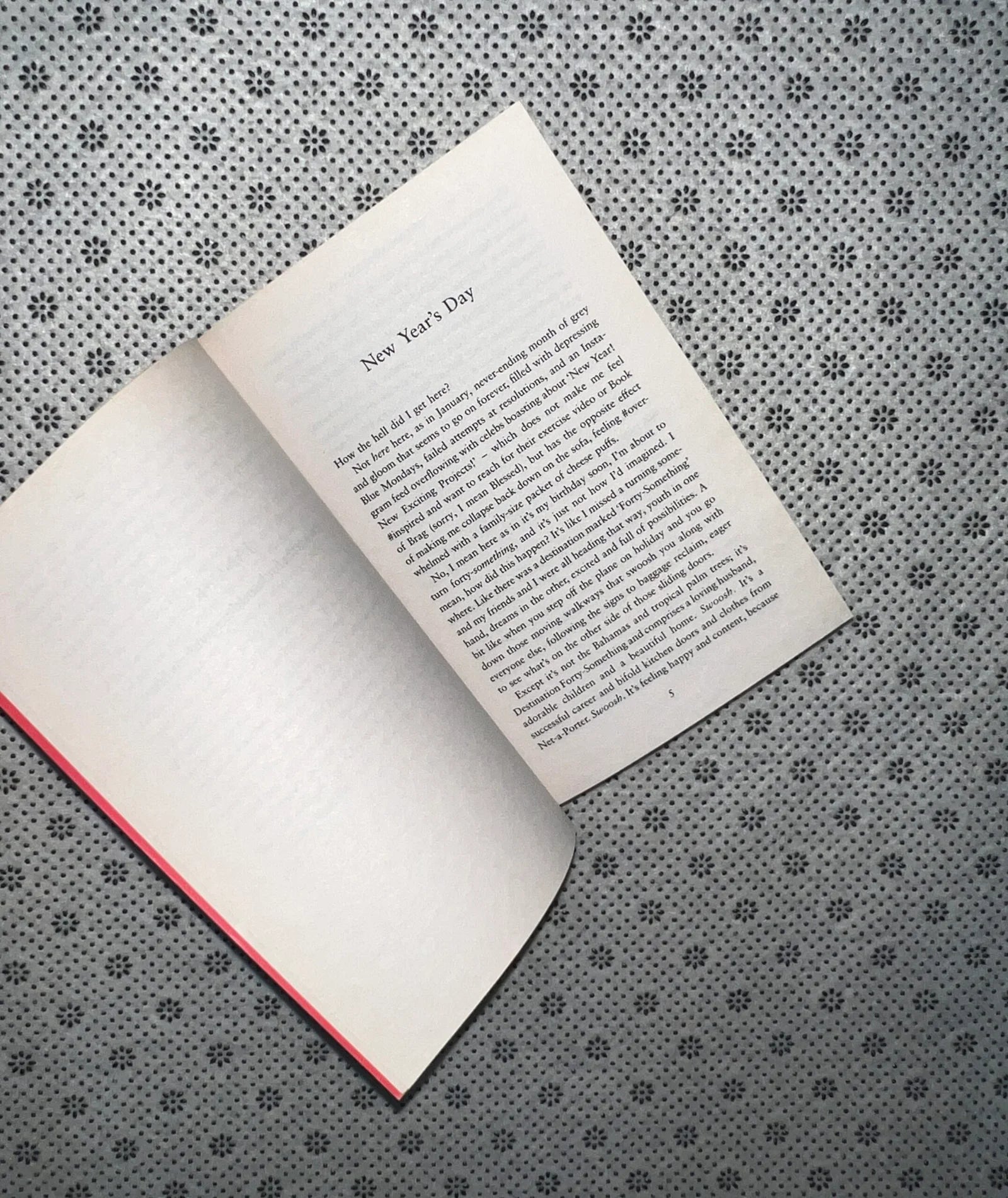 confessions of a forty something f k up by alexandra potter