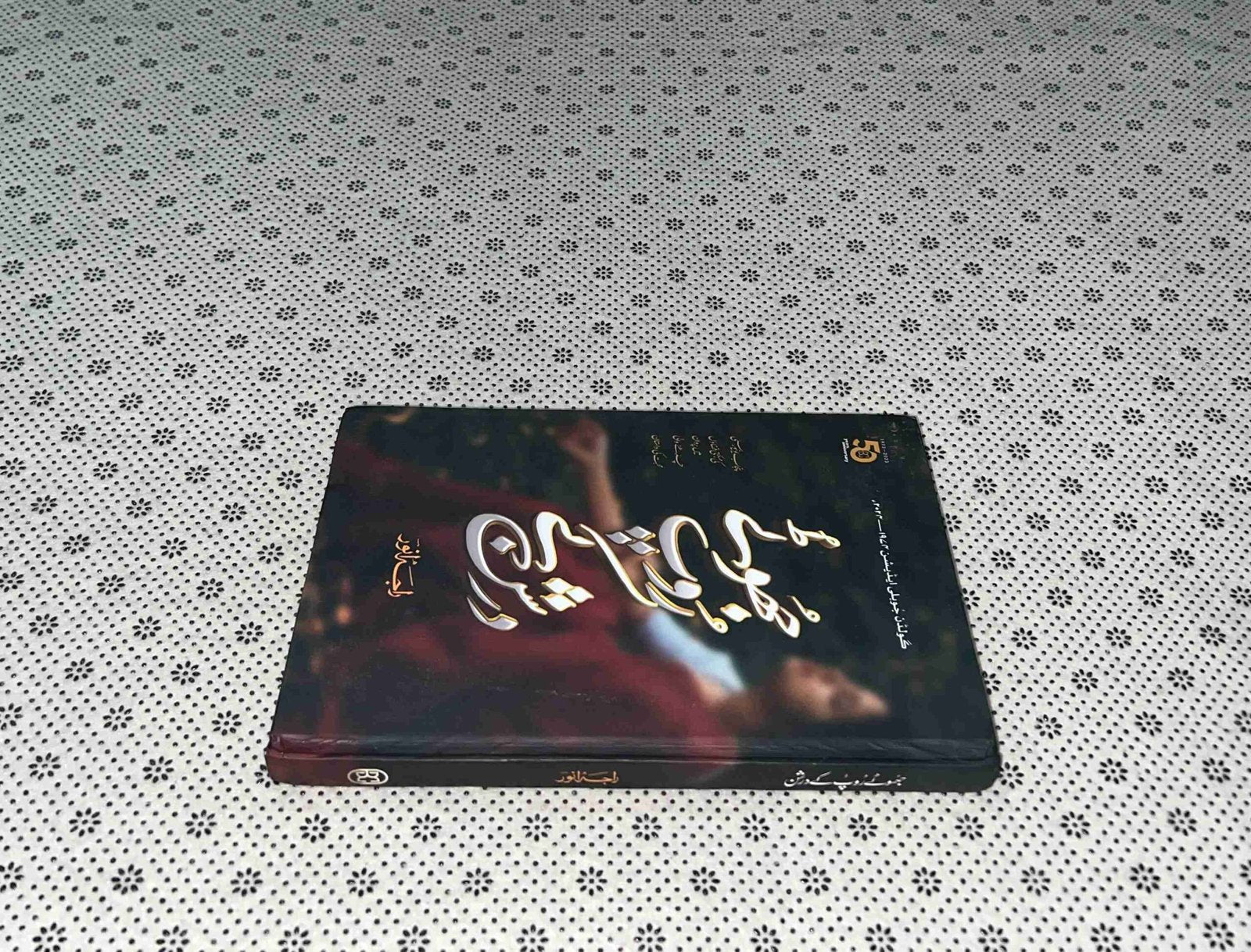 jhoty roop ky darshun golden jubilee edition by raja anwar