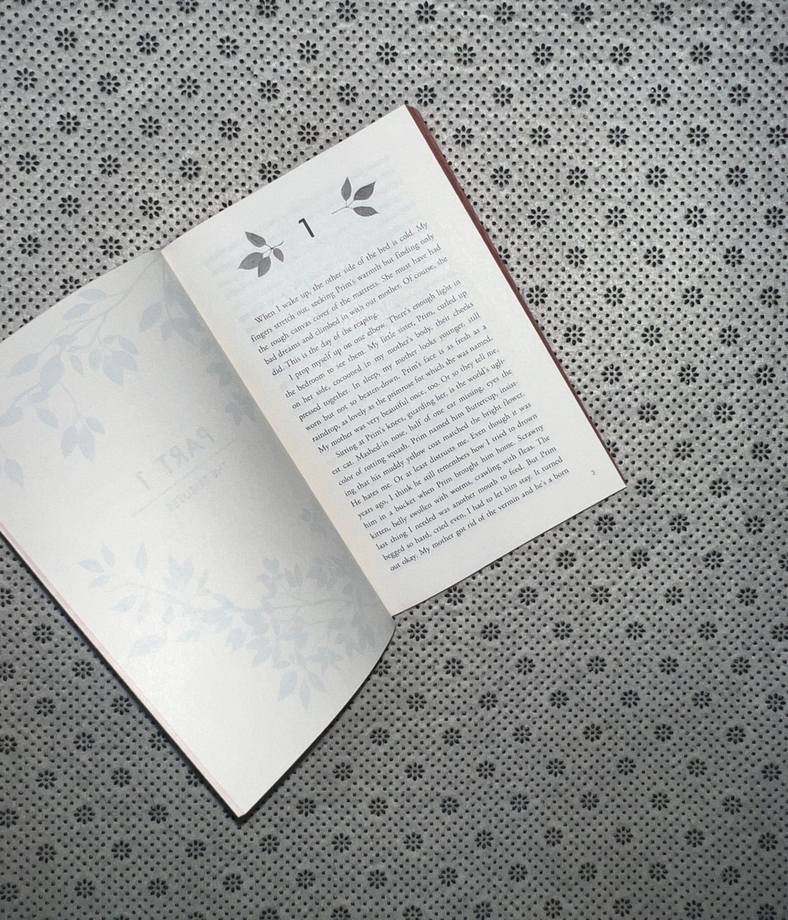 the hunger games the hunger games series book 1 the deluxe edition a stunningly designed with patterned edge by suzanne collins