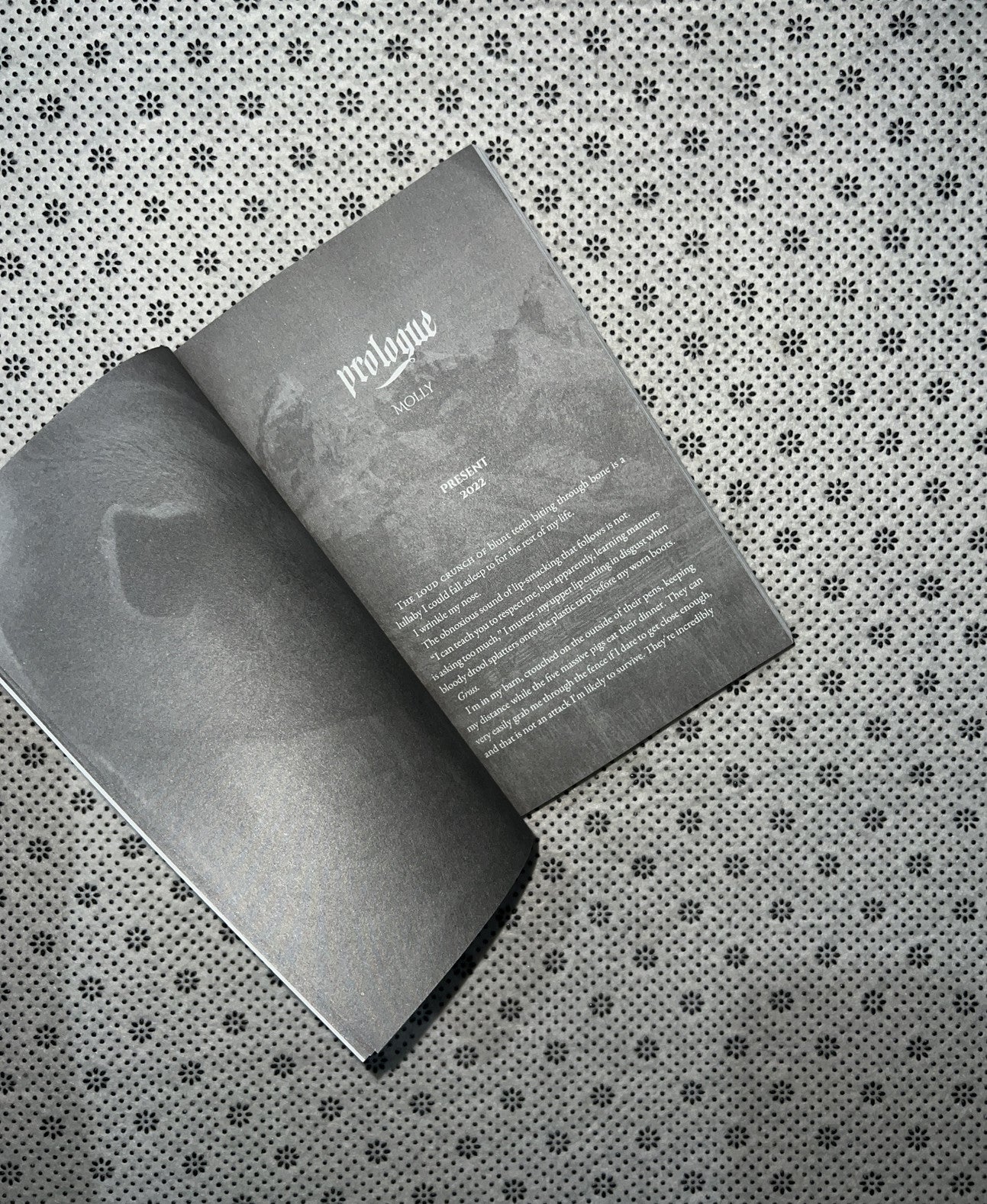 WHERE'S MOLLY by H. D. Carlton 