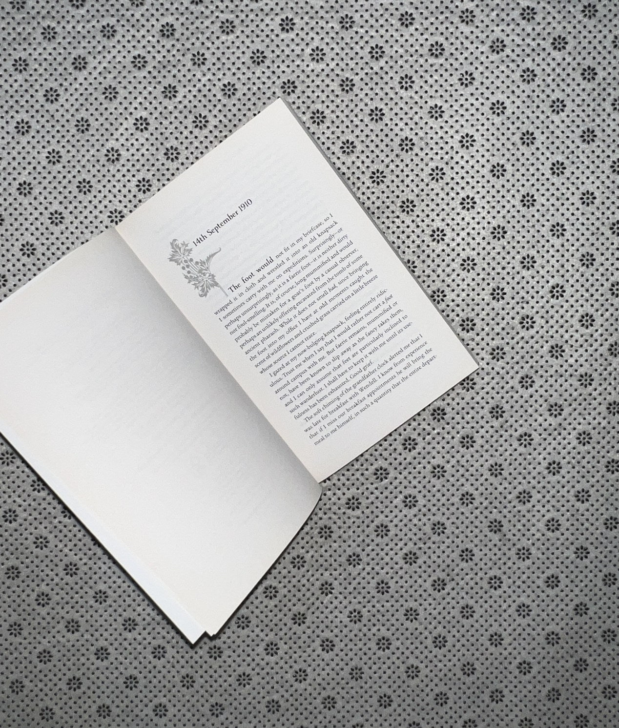 EMILY WILDE’S MAP OF THE OTHERLANDS by Heather Fawcett