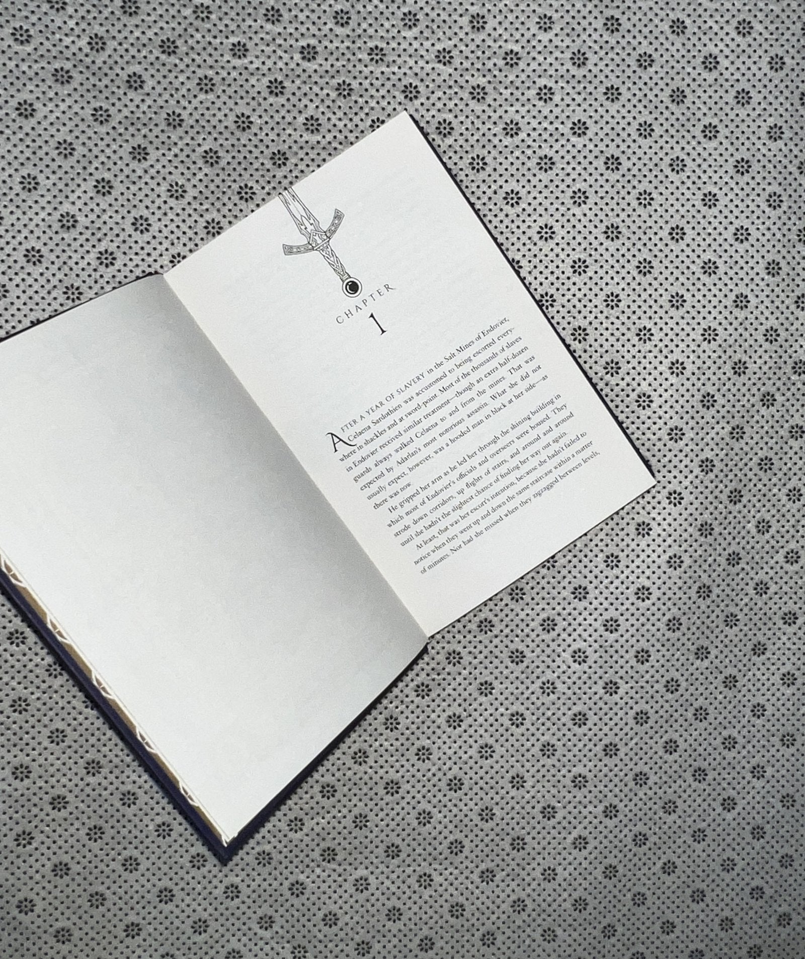 throne of glass throne of glass series book 1 collectors edition by sarah j maas