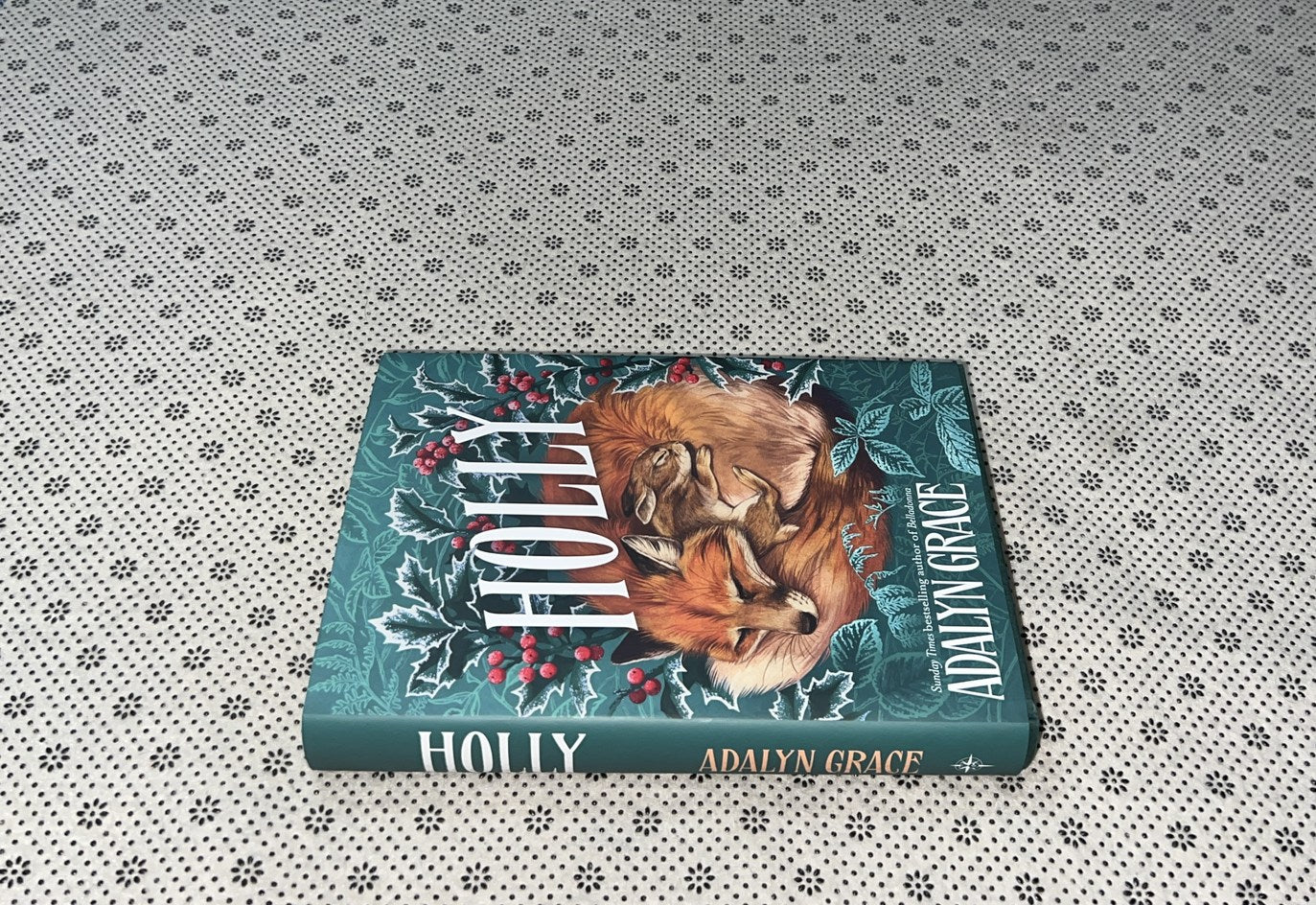 HOLLY: A Belladonna Novella by Adalyn Grace 