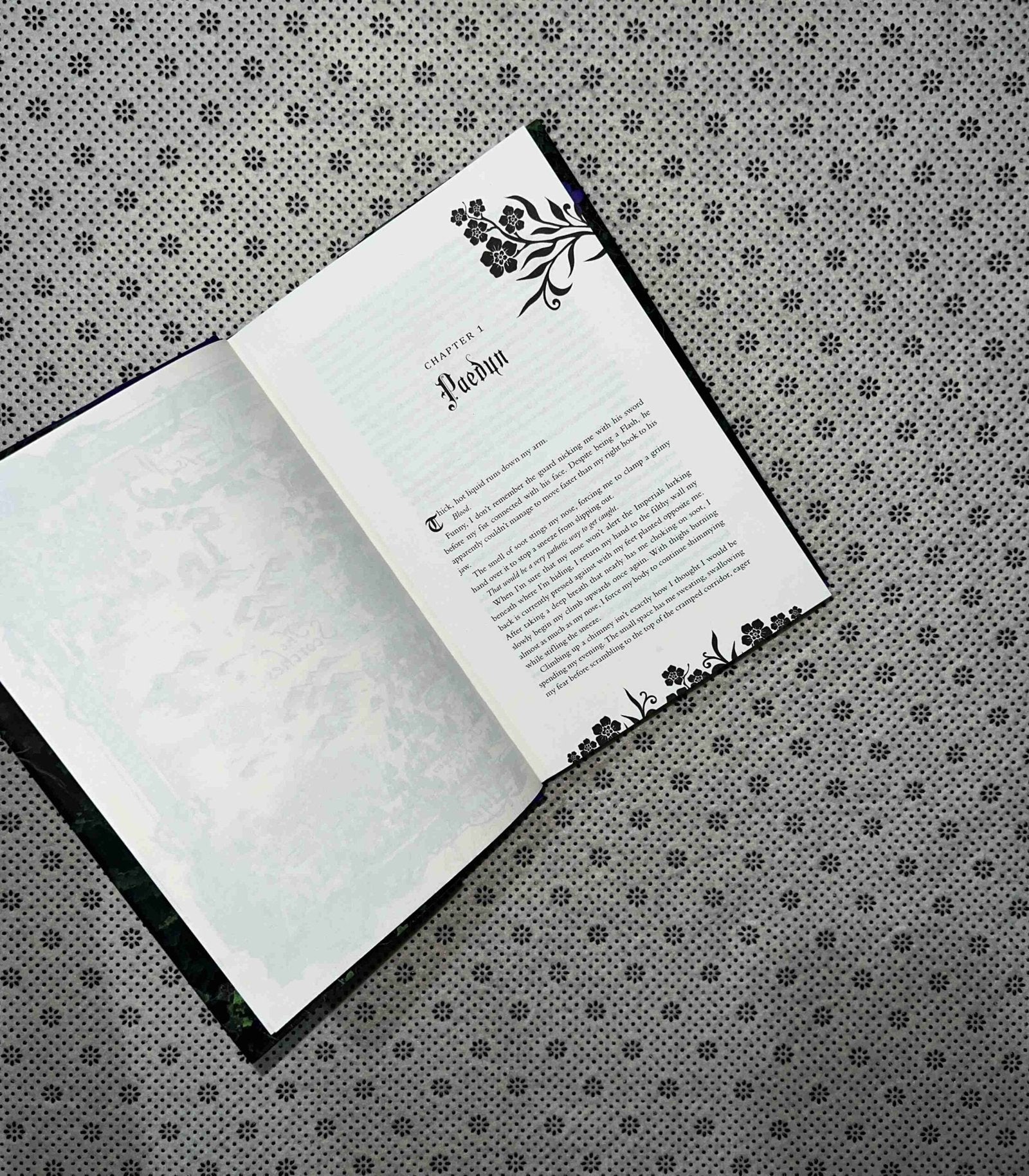 powerless deluxe collectors edition the powerless series book 1 by lauren roberts