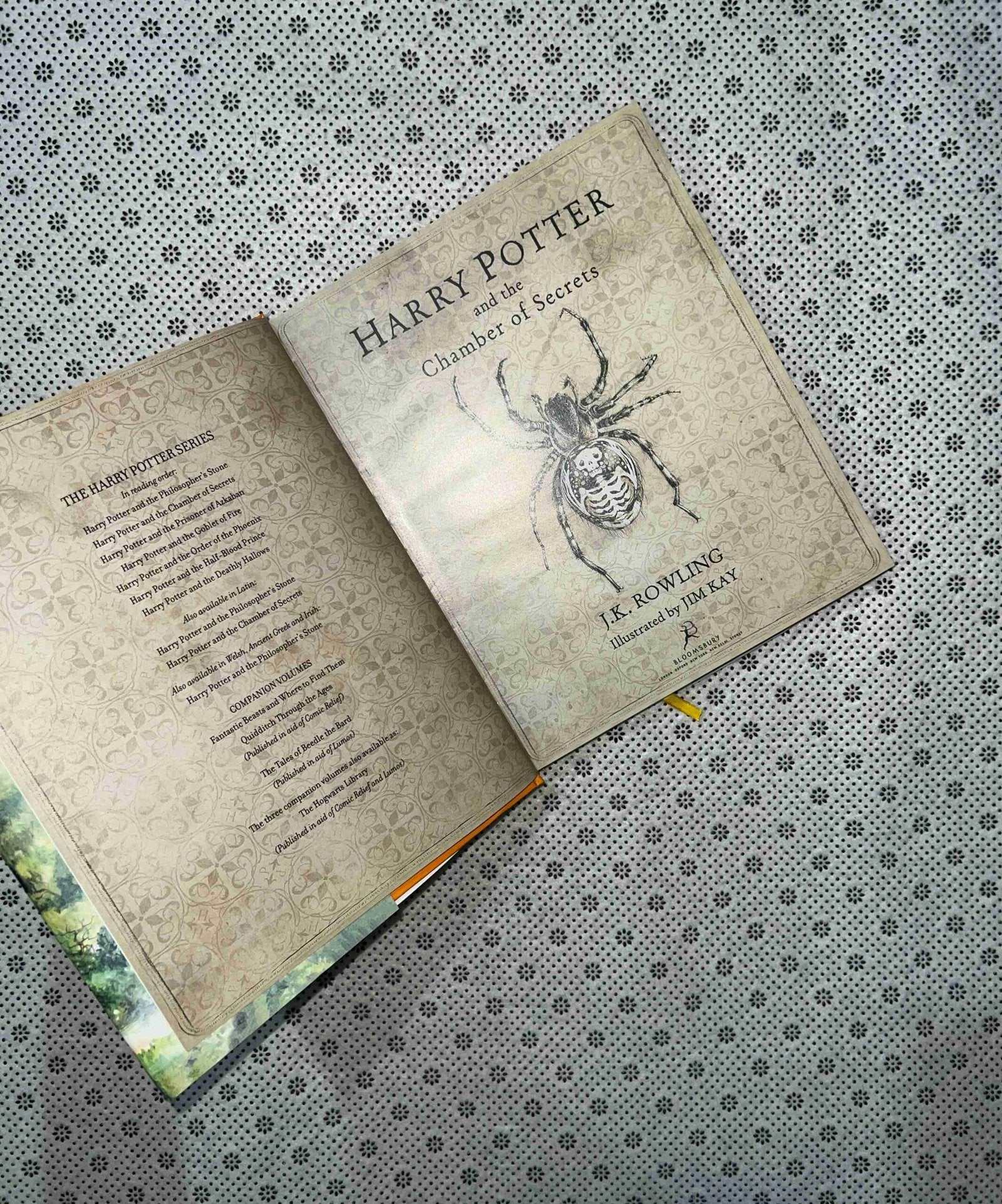 harry potter and the chamber of secrets the harry potter series book 2 jim kay illustrated edition by j k rowling