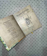 harry potter and the chamber of secrets the harry potter series book 2 jim kay illustrated edition by j k rowling