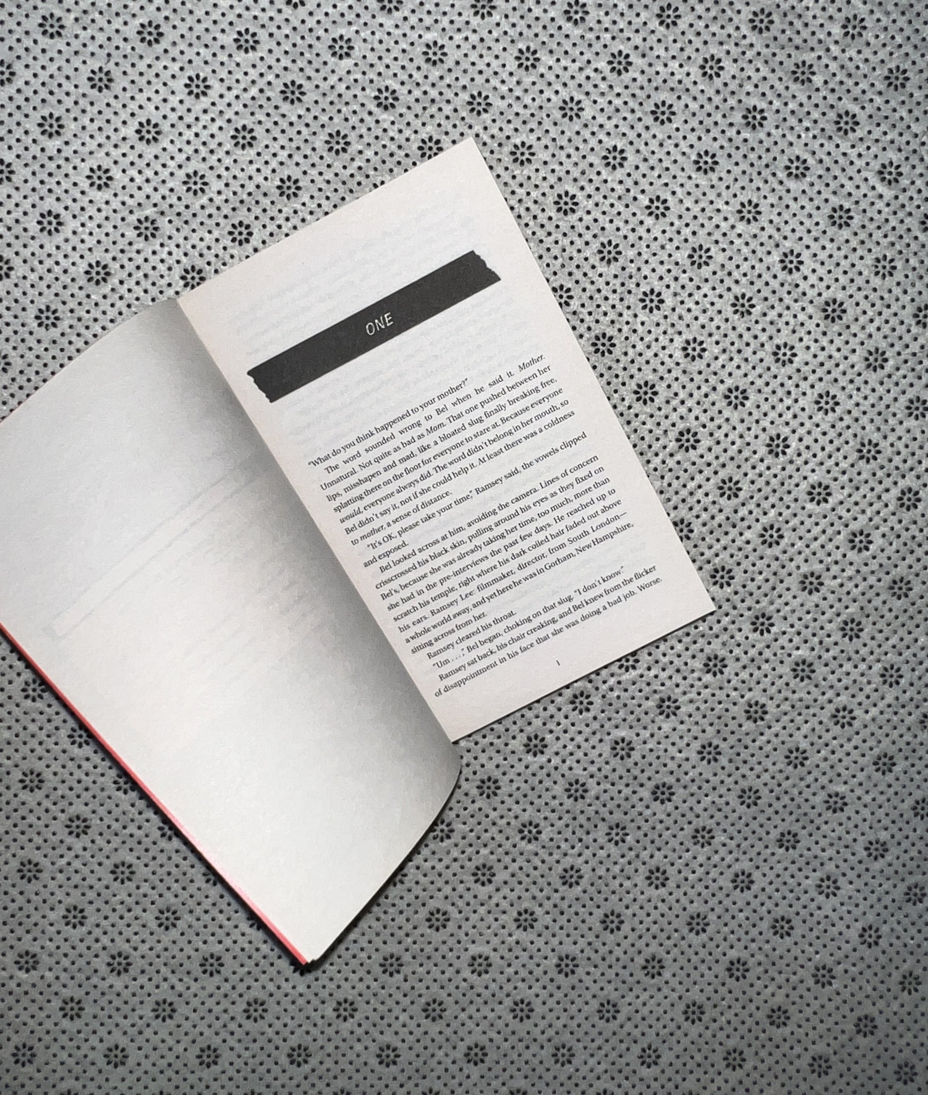 THE REAPPEARANCE OF RACHEL Price by Holly Jackson