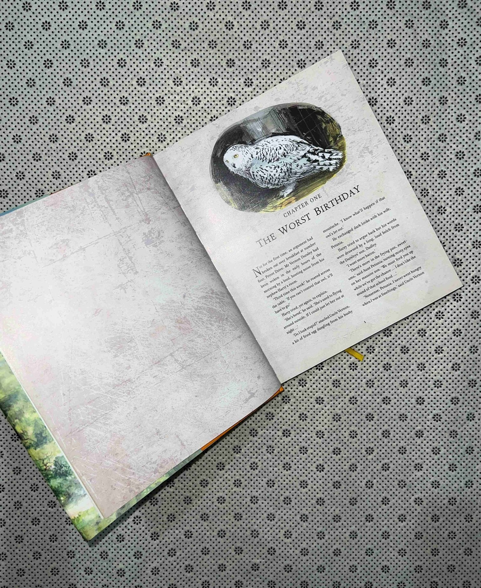 harry potter and the chamber of secrets the harry potter series book 2 jim kay illustrated edition by j k rowling