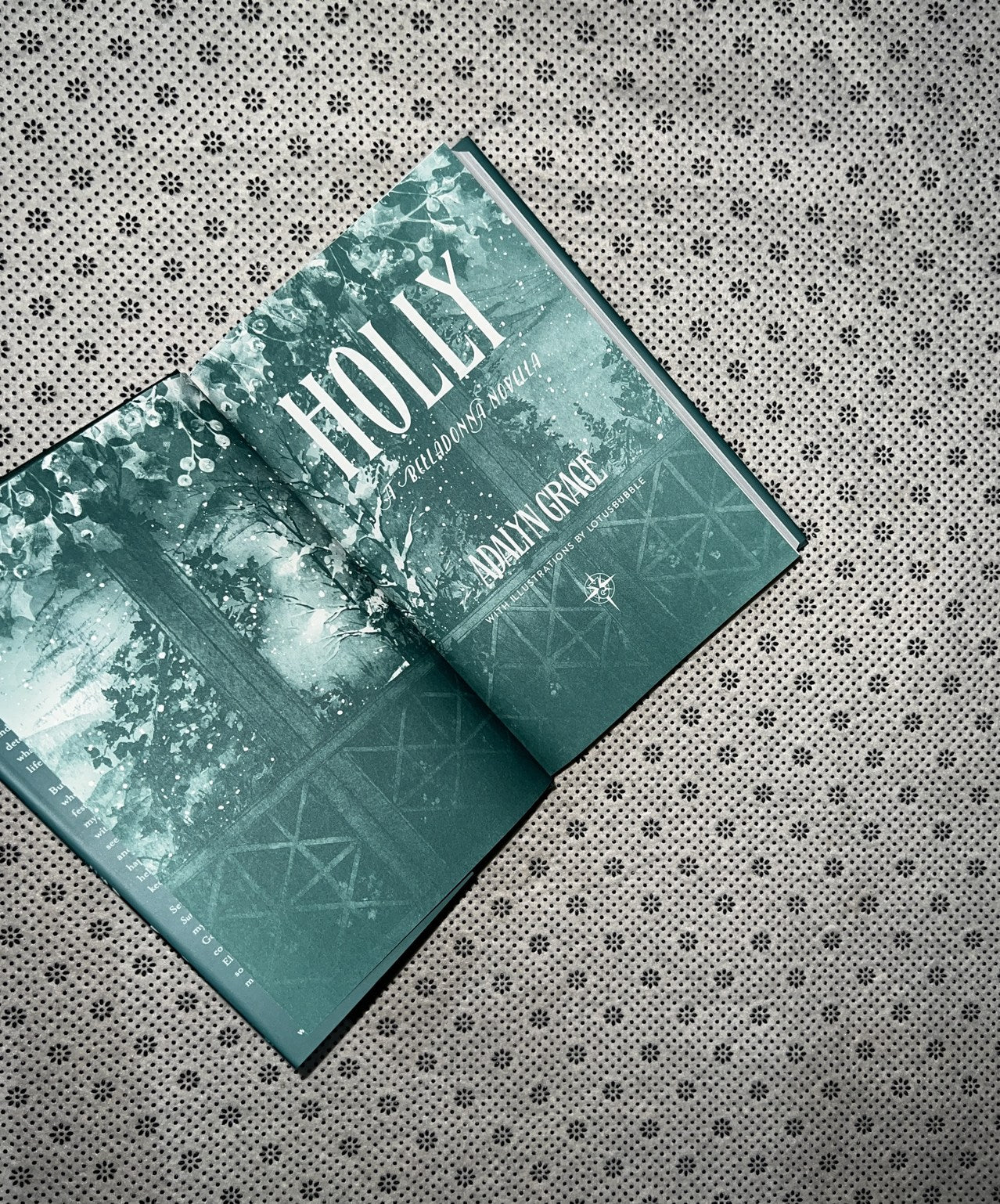 HOLLY: A Belladonna Novella by Adalyn Grace 