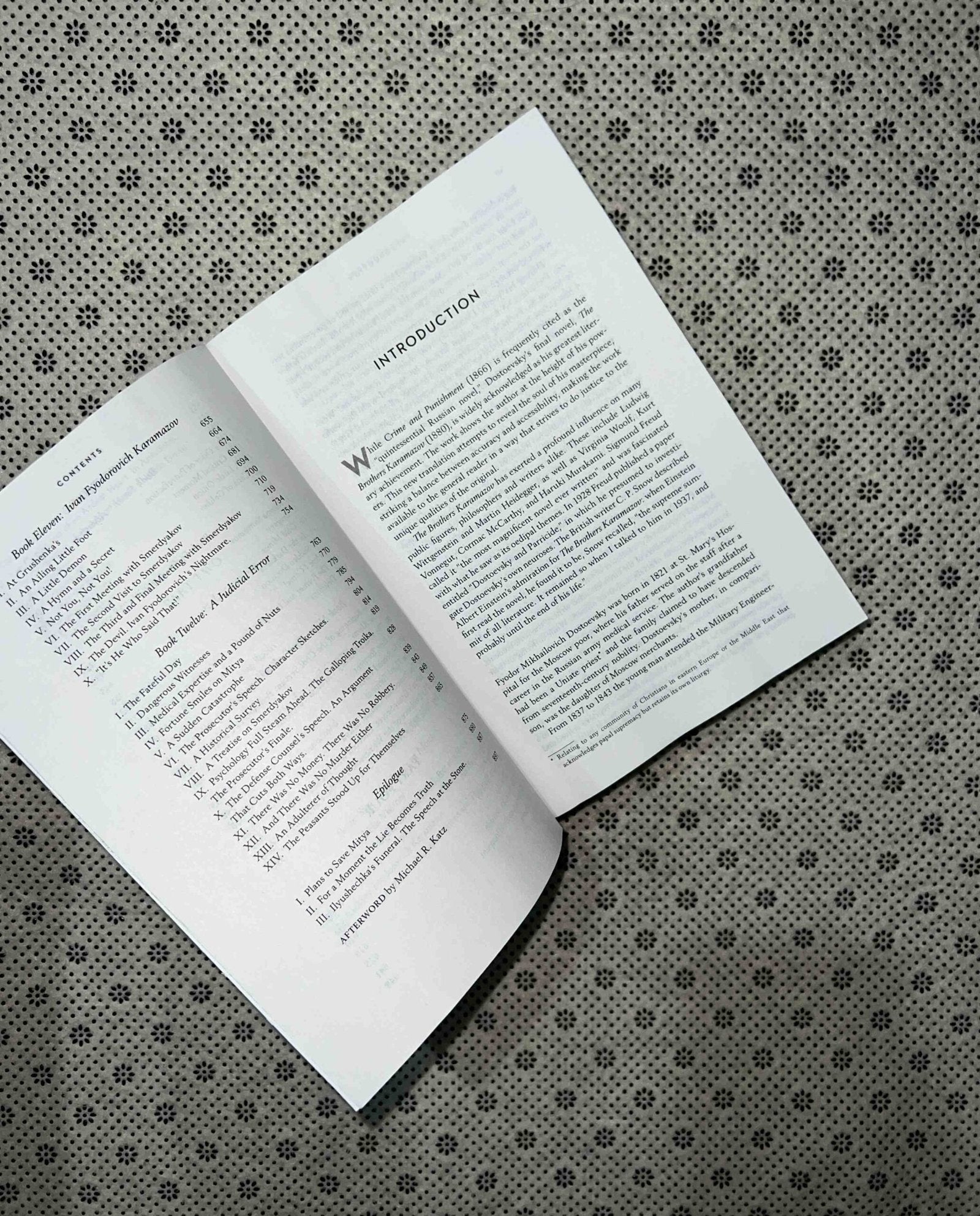 the brothers karamazov a new translation by michael r katz by fyodor dostoyevsky