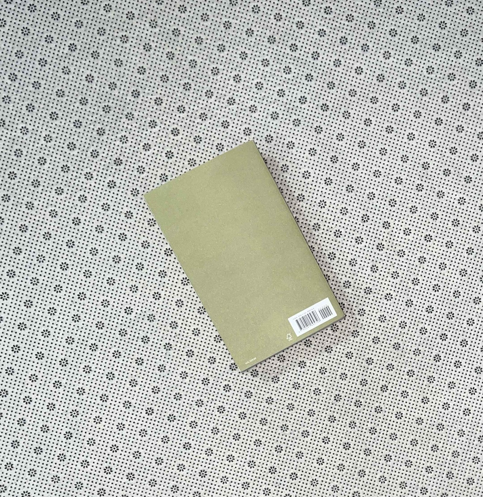 diaries of franz kafka penguins classics by franz kafka