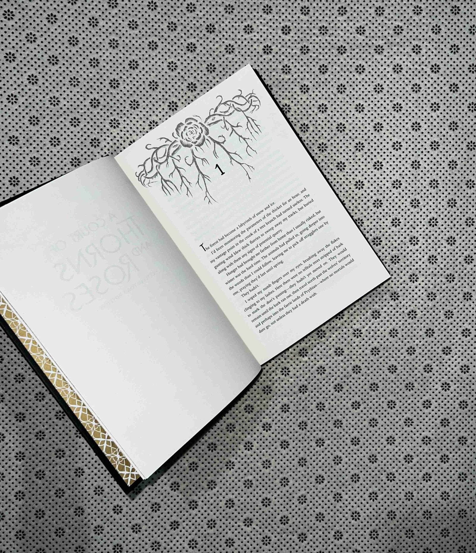 a court of thorns and roses collectors edition by sarah j maas