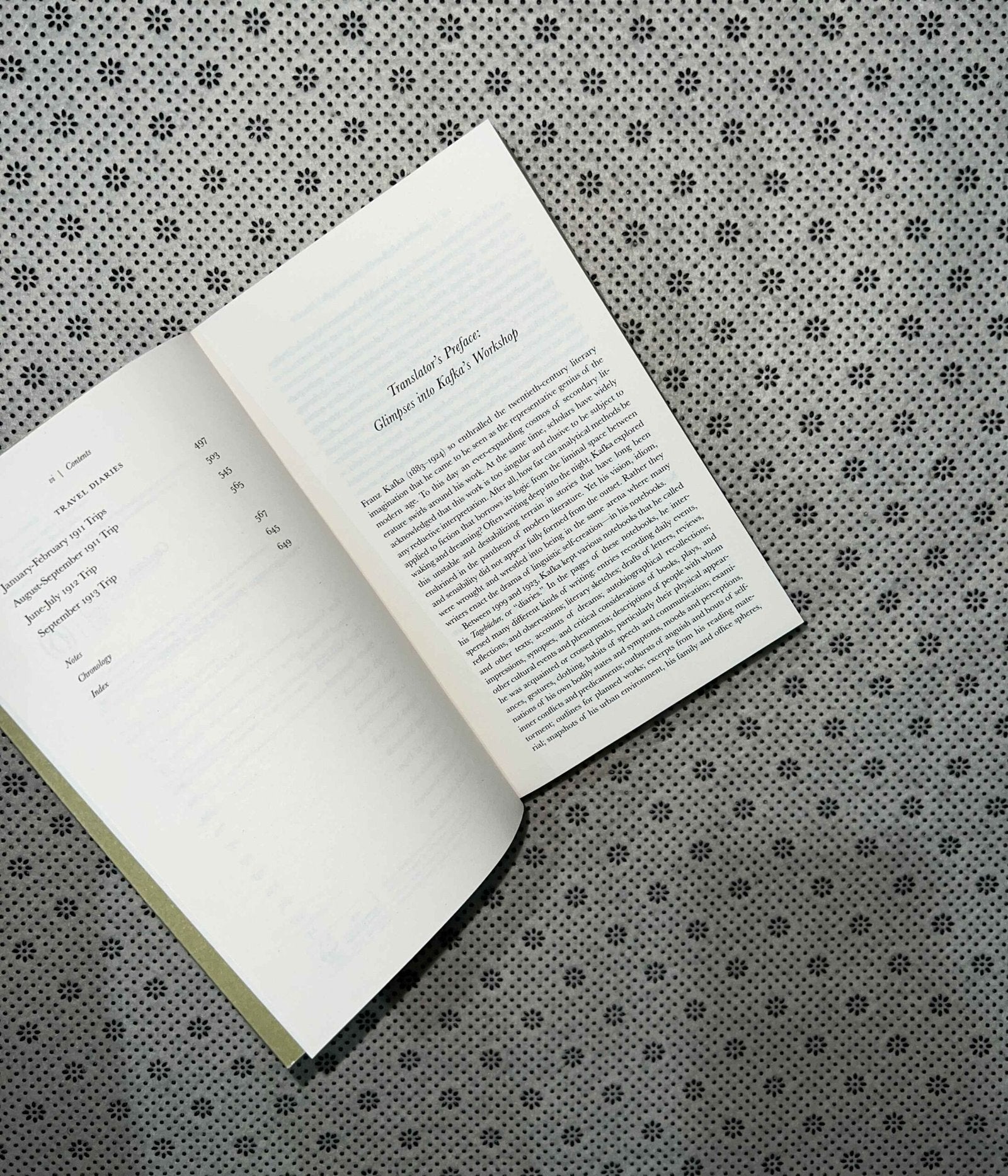 diaries of franz kafka penguins classics by franz kafka