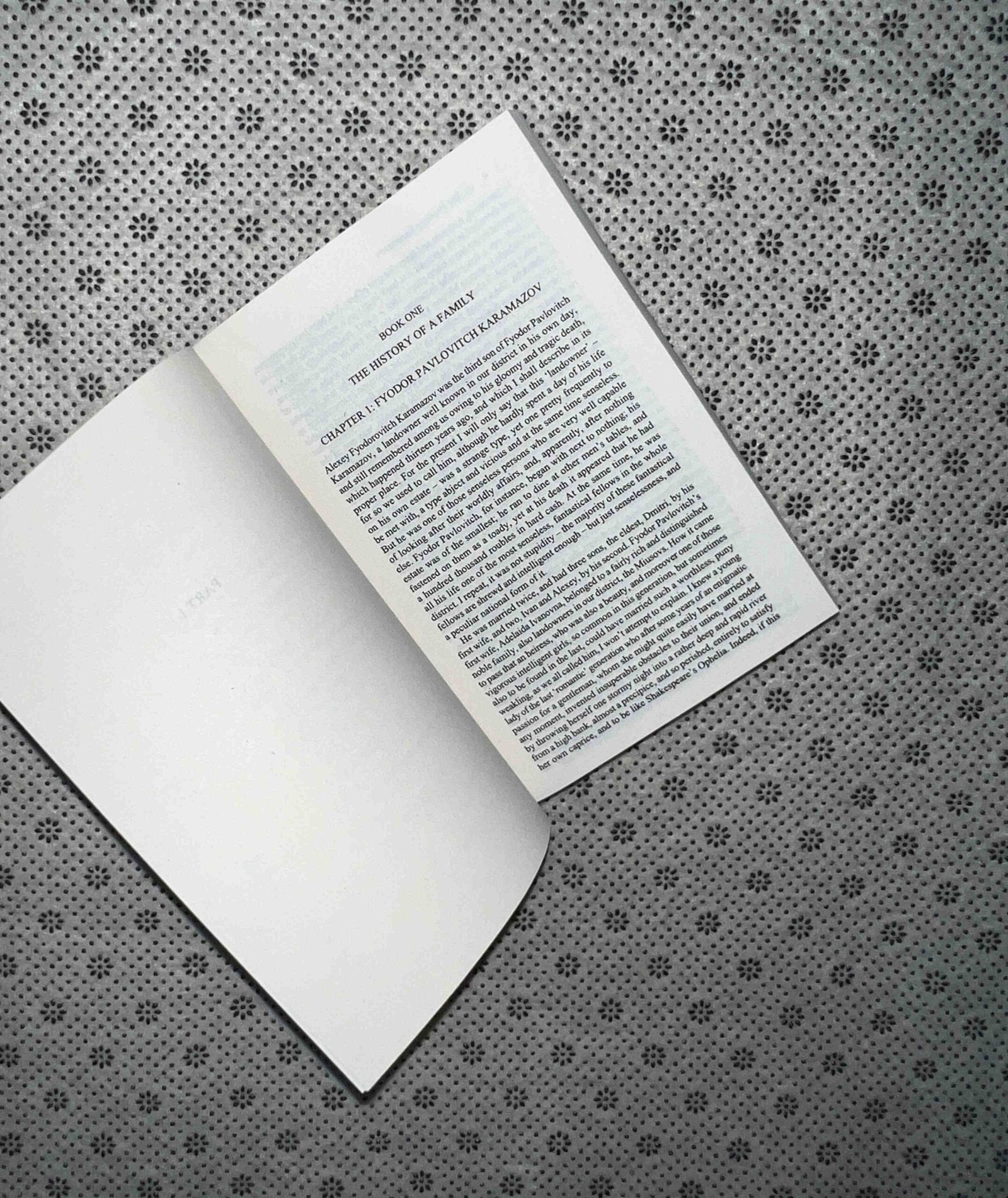 the brothers karamazov by fyodor dostoyevsky 1